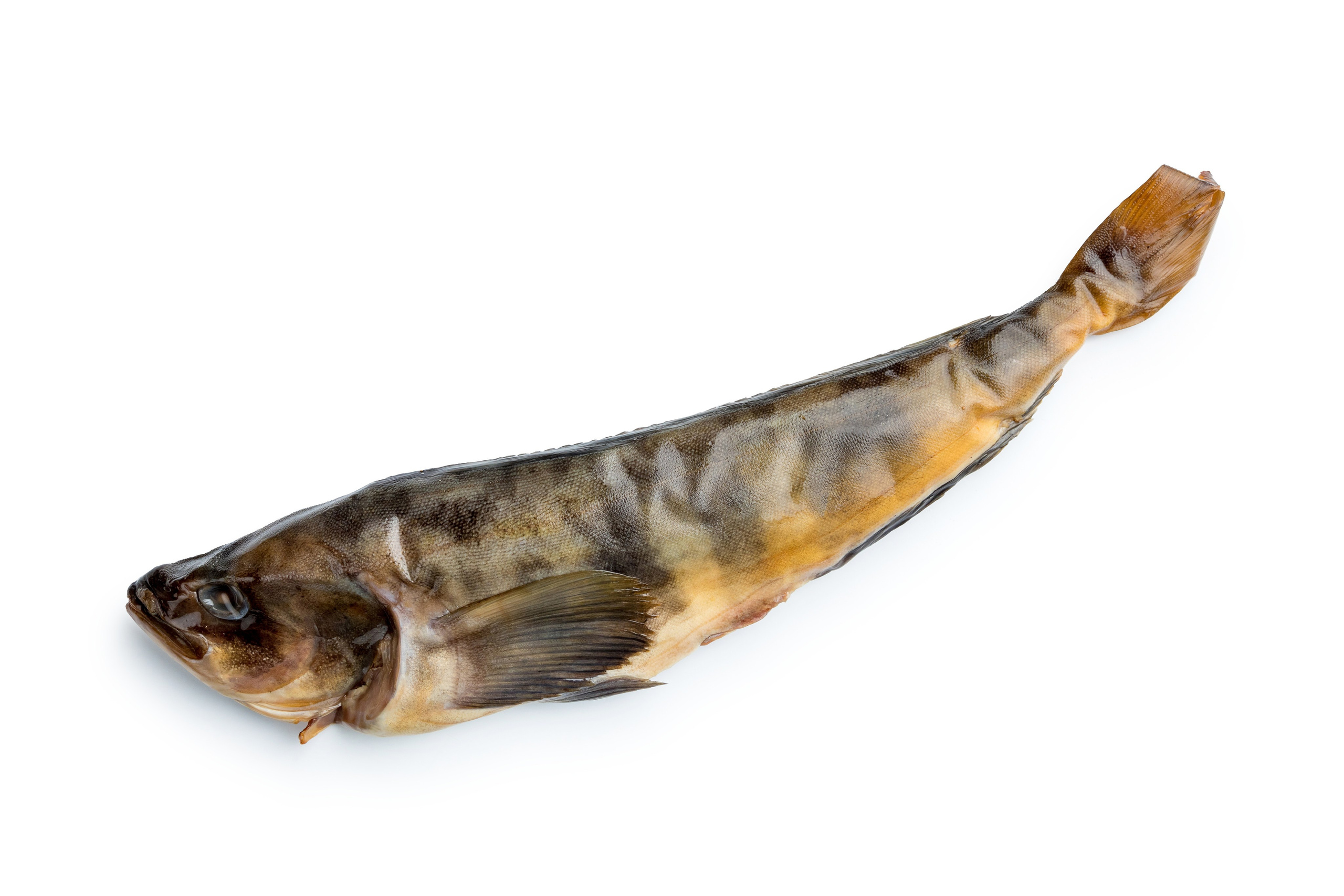 Сырое на белом. Фуд-фотограф Гумеров Ильдар