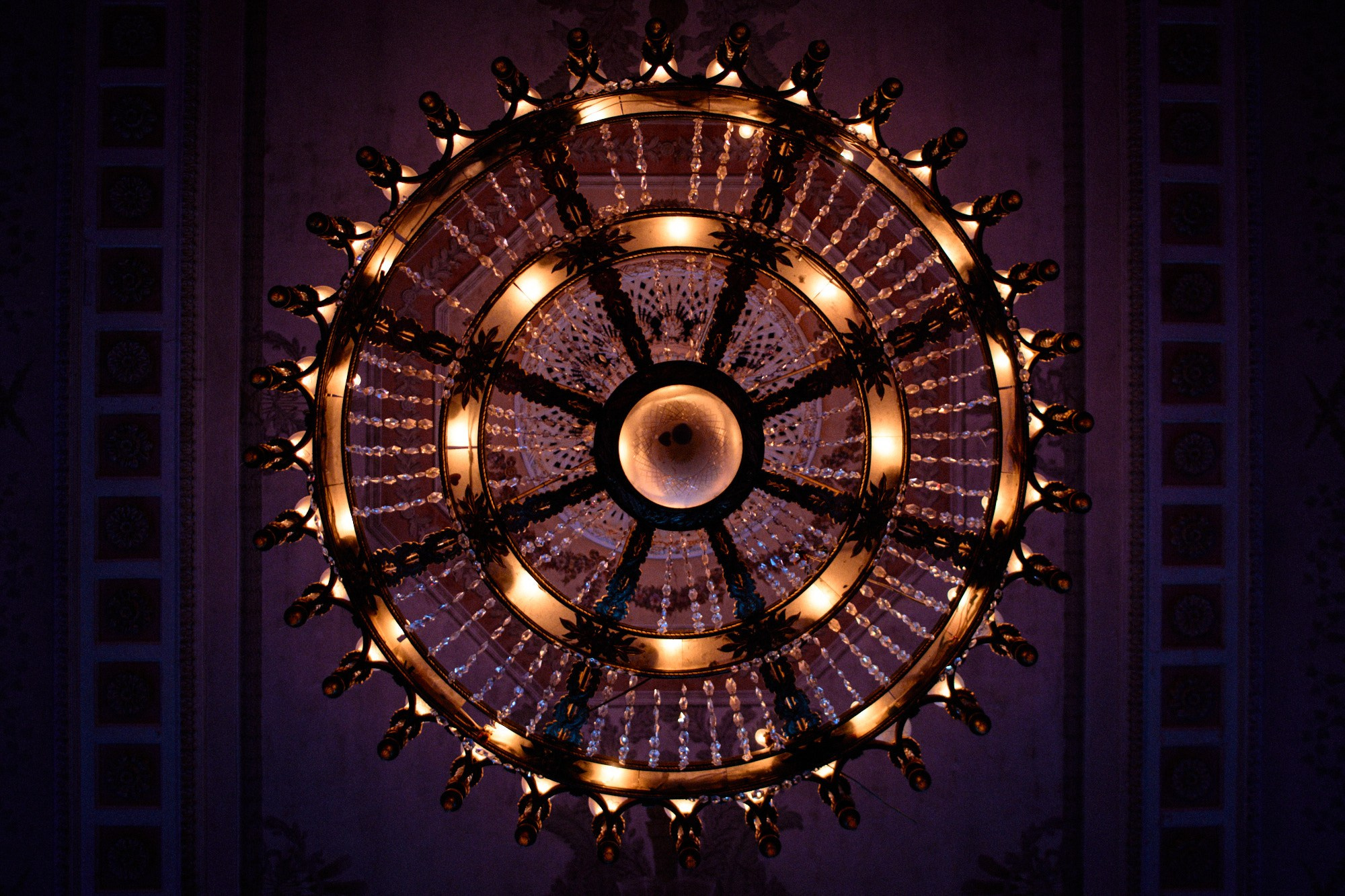 Events. ≫ Nikita Tsarev ≫ Event and sports photographer