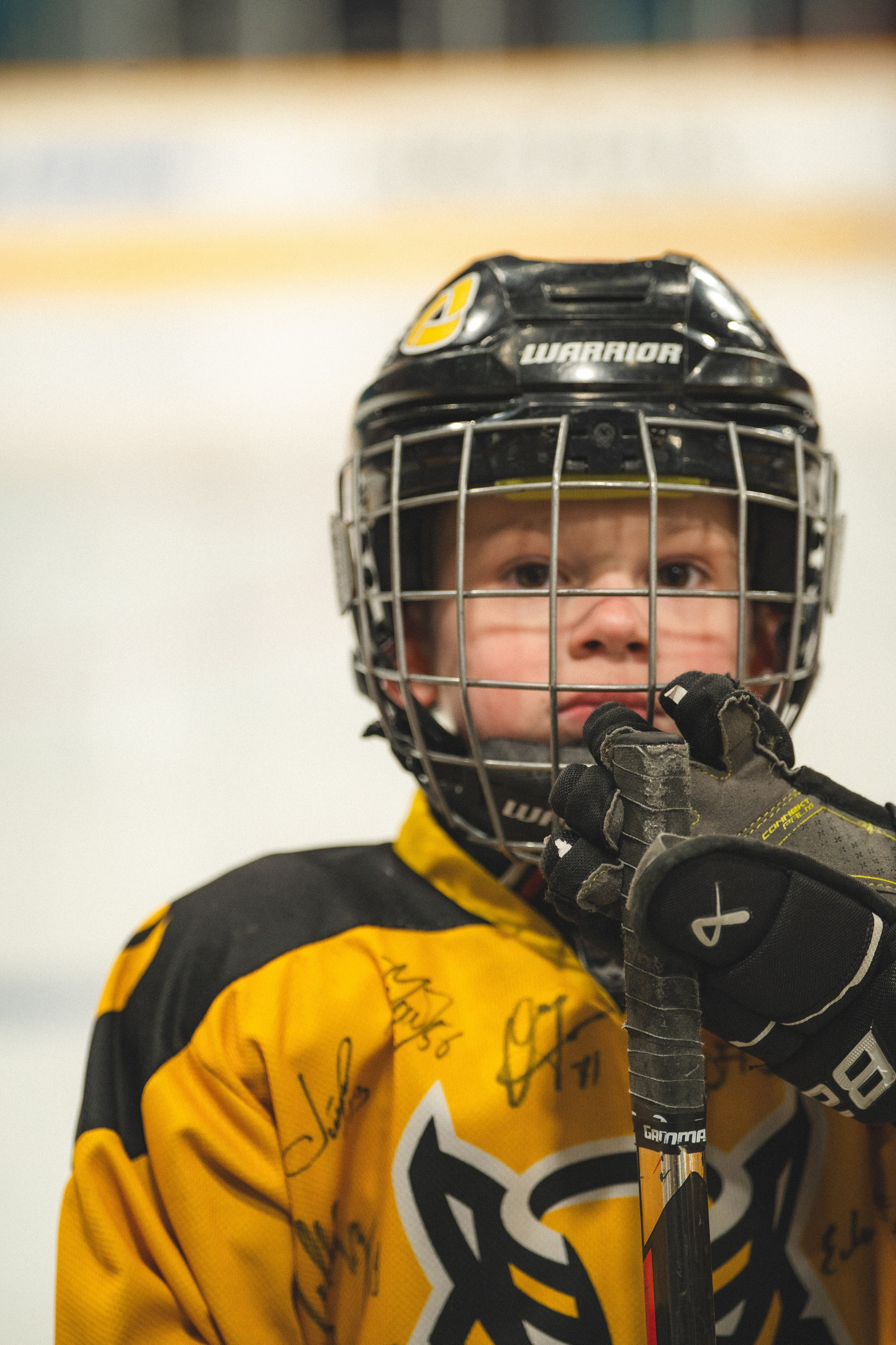 ХК Северсталь (младшая группа). Череповец. Zekons. Фото, видео, нейросети