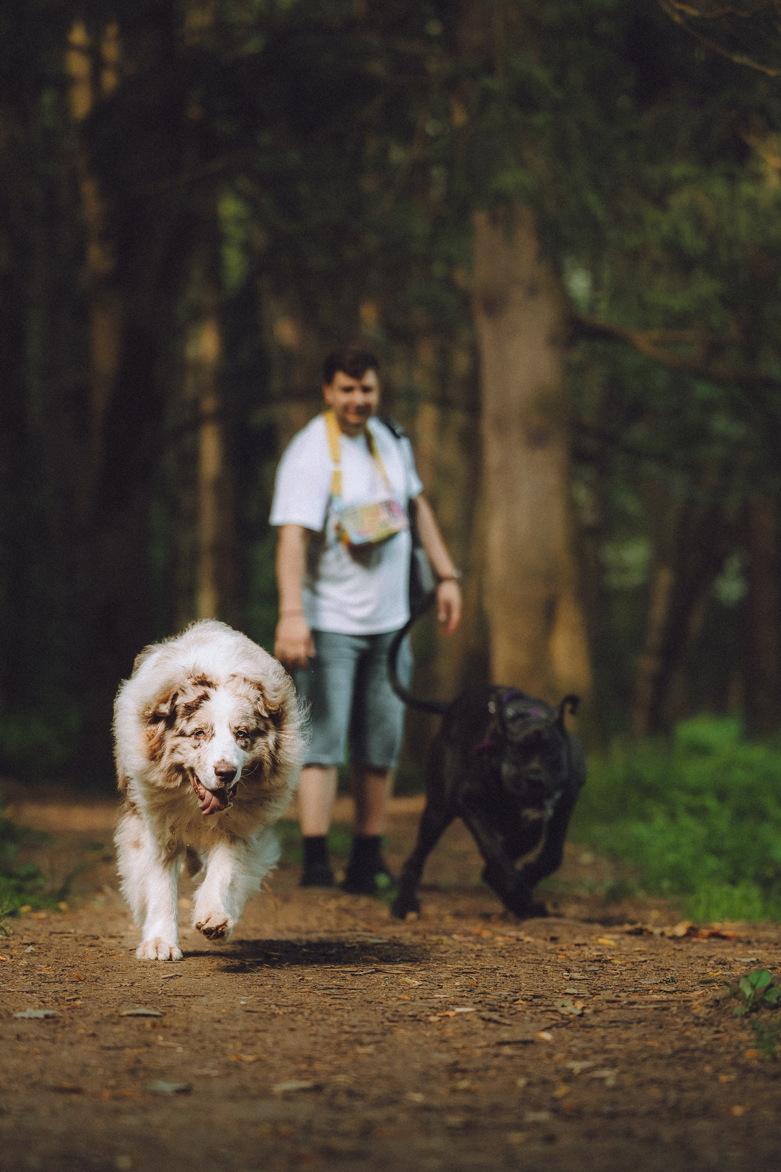 Катя, Андрей, Гектор, Ричи, Тортик и Трой