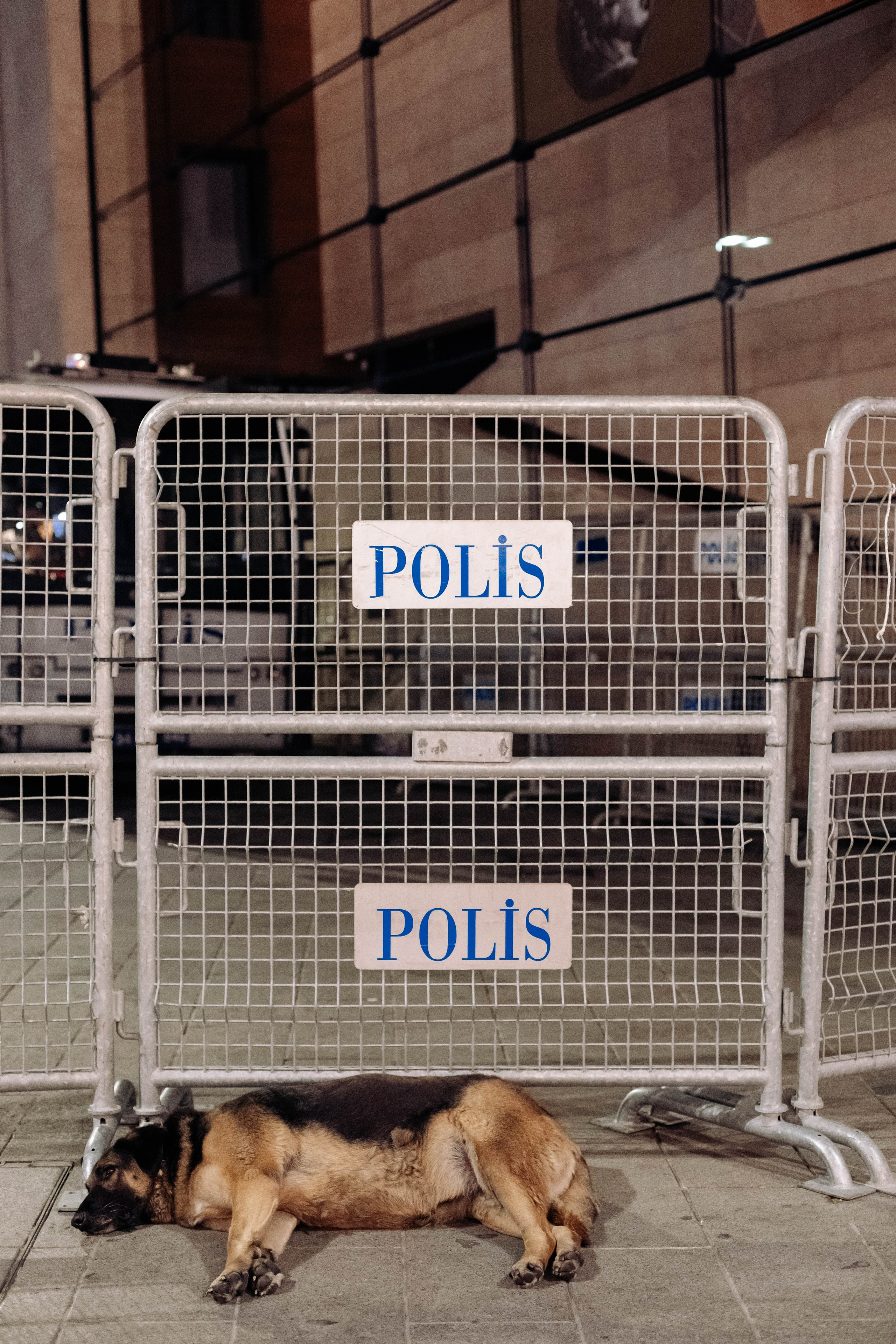 Istanbul. Katerina Spekhova