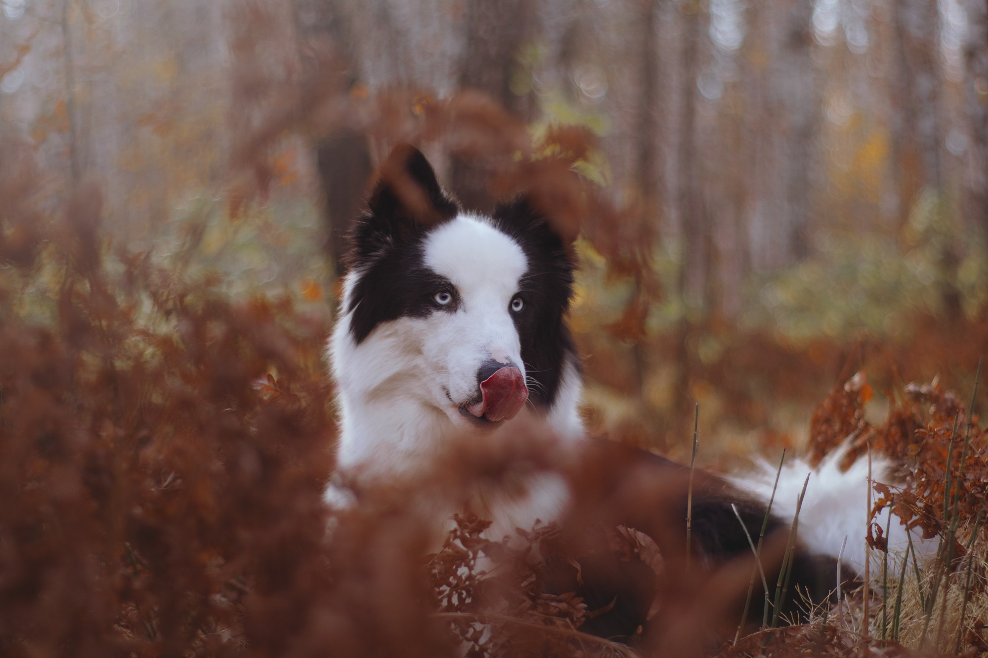 Ликёр. Фотограф в Тюмени Лизавета Сапицкая