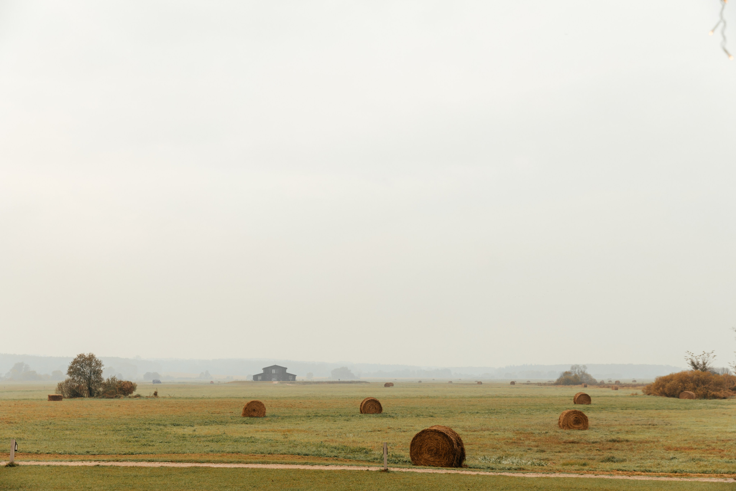 Полина и Иван | Pine River. Свадебный фотограф Ангелина Зотова | Обнинск, Москва, Калуга