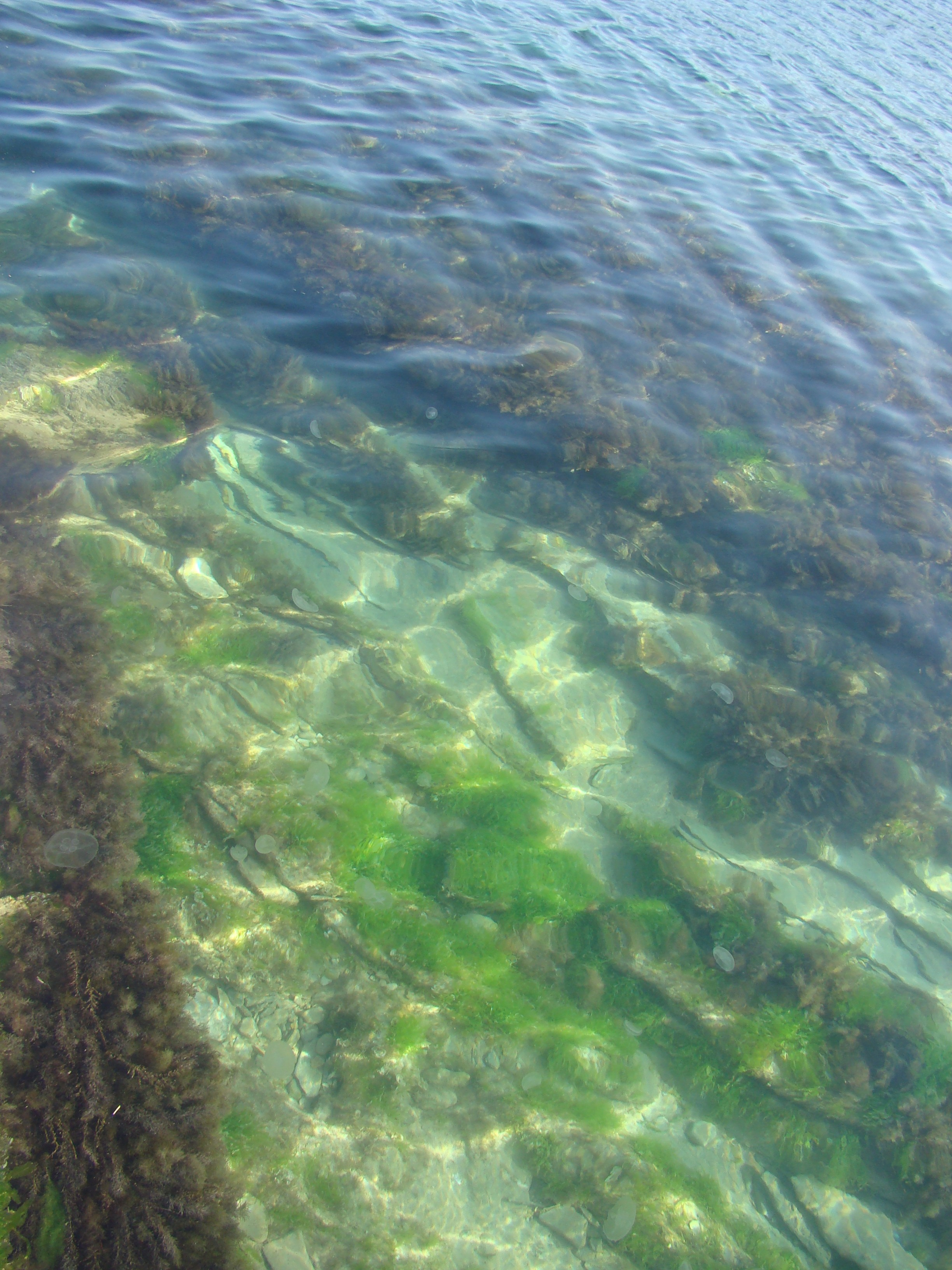 Кабардинка (фото Зевиных) 25.06-24.07.2008. Семейный, Свадебный фотограф СПБ Питер— Романова Екатерина