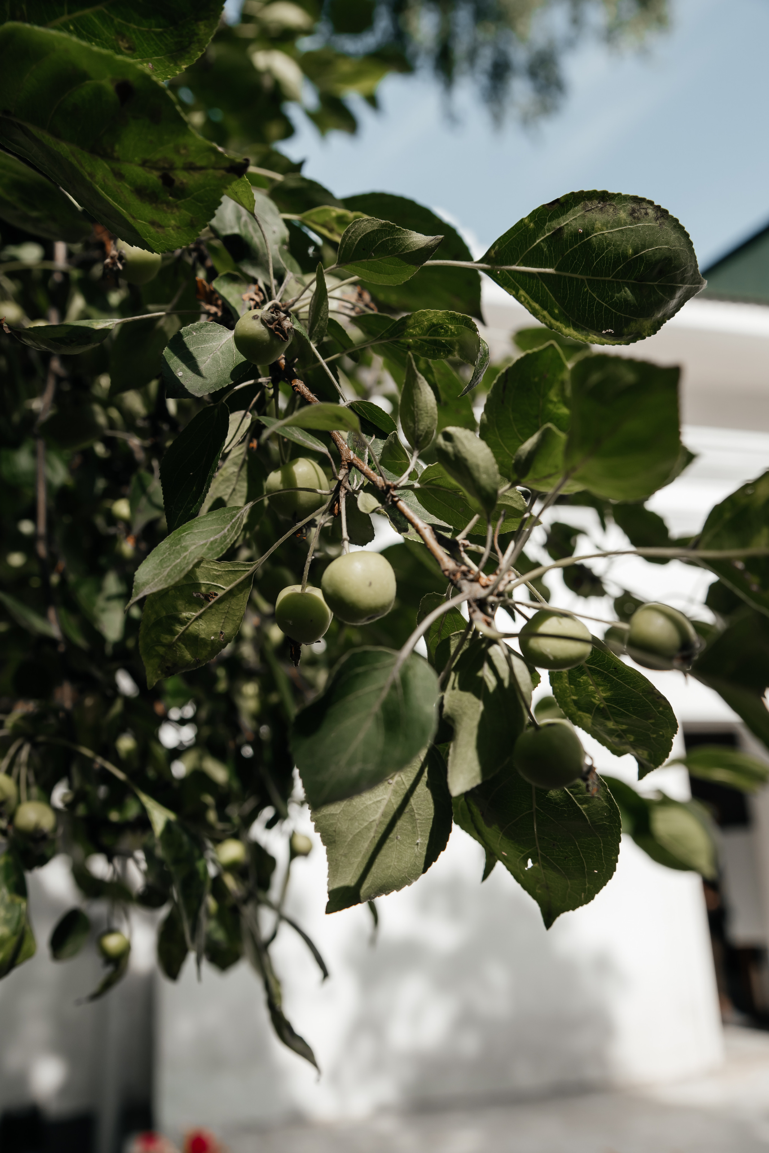 Руслан и Катя. Фотограф Москва