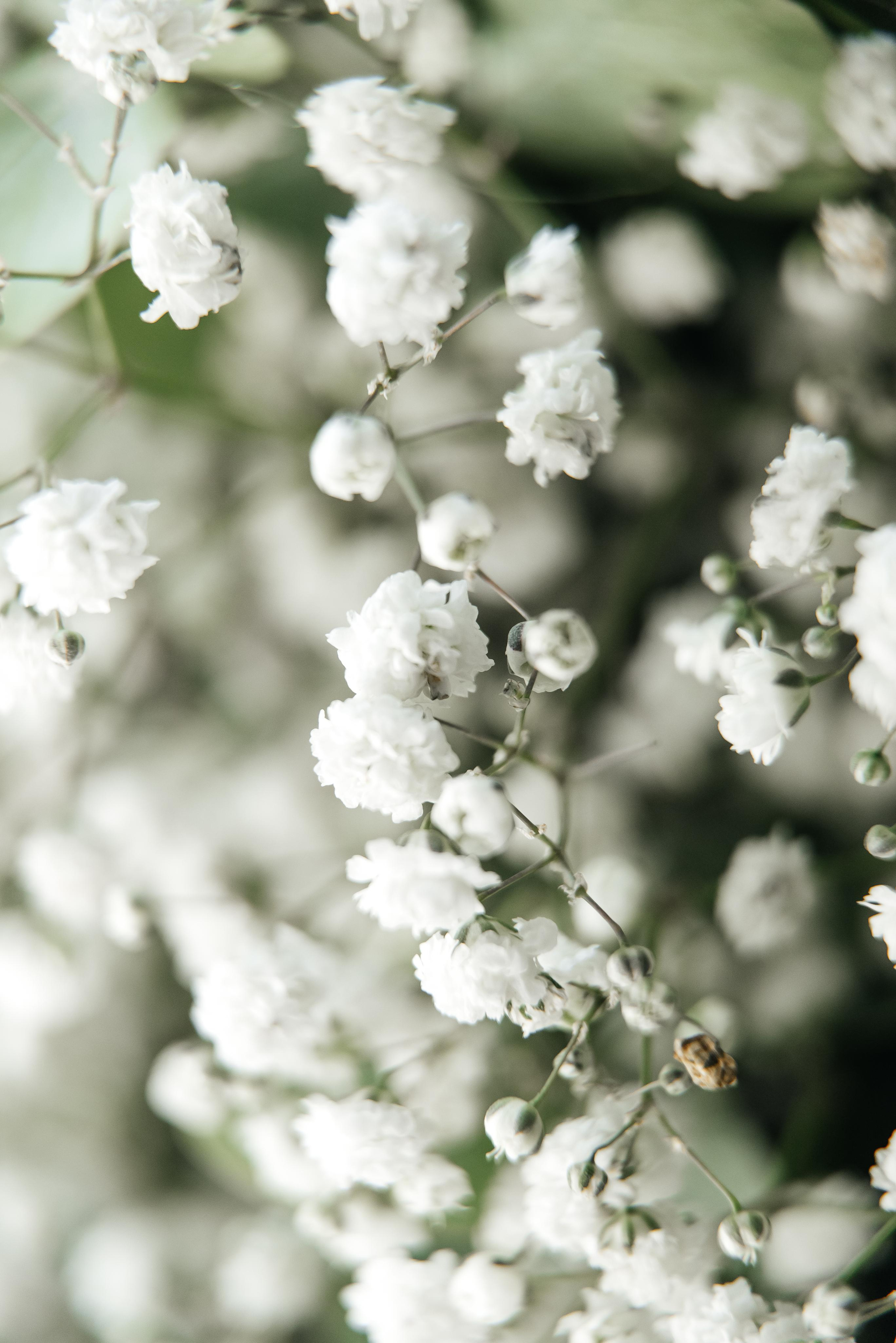 Руслан и Катя. Фотограф Москва