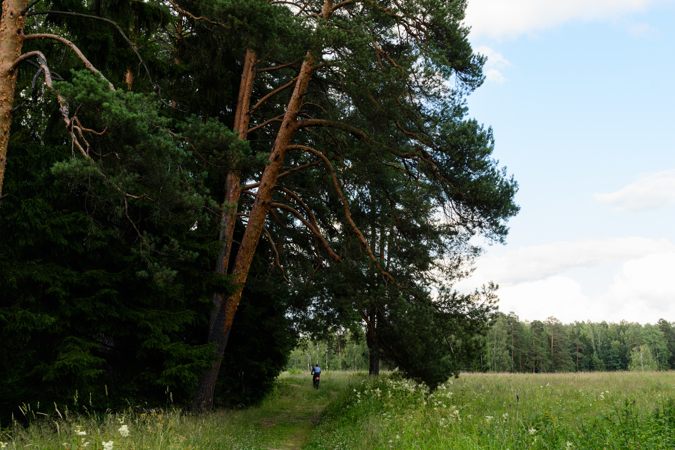 Пейзажи. Семейный и индивидуальный фотограф Life style в Санкт-Петербурге Мария