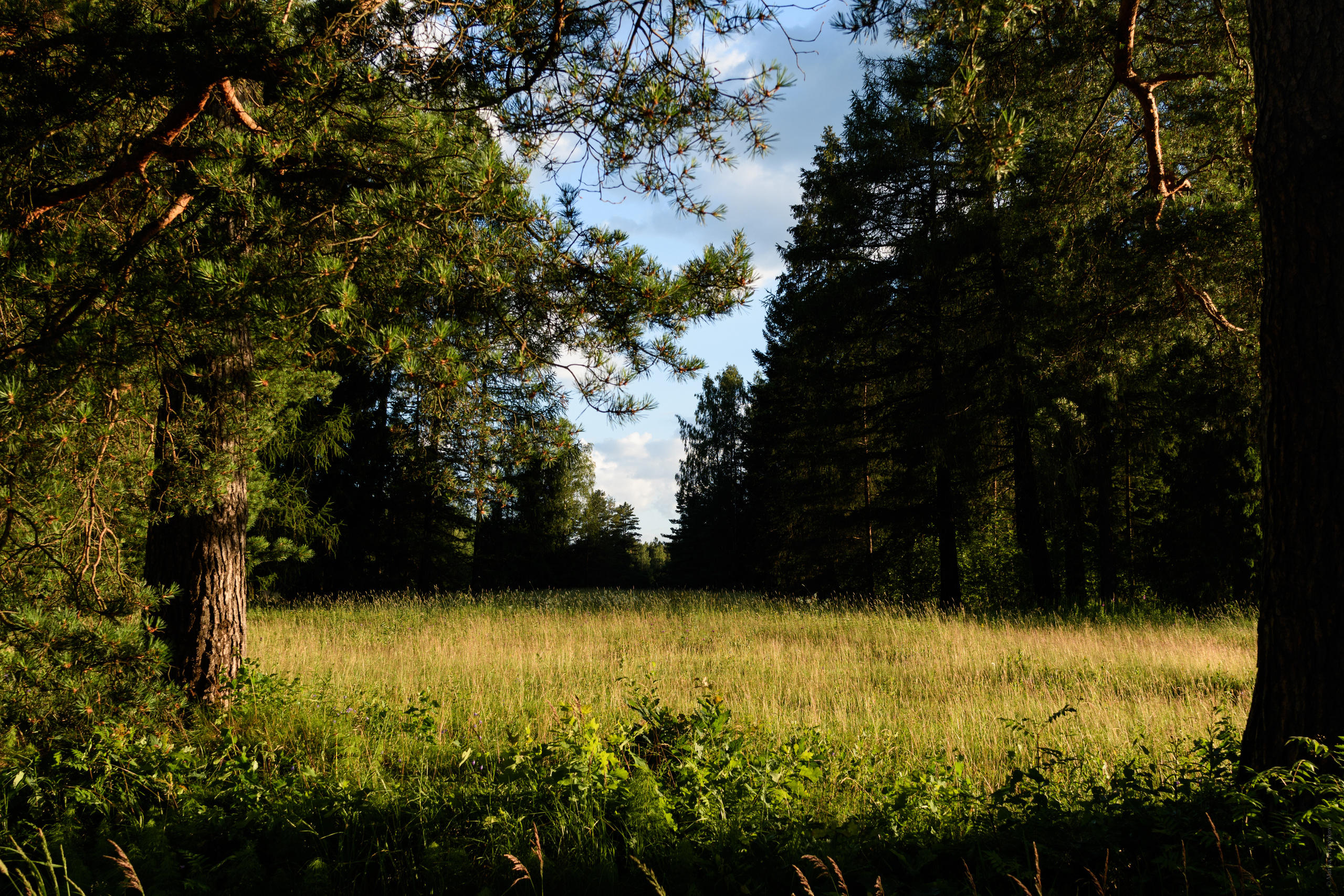 Пейзажи. Семейный и индивидуальный фотограф Life style в Санкт-Петербурге Мария