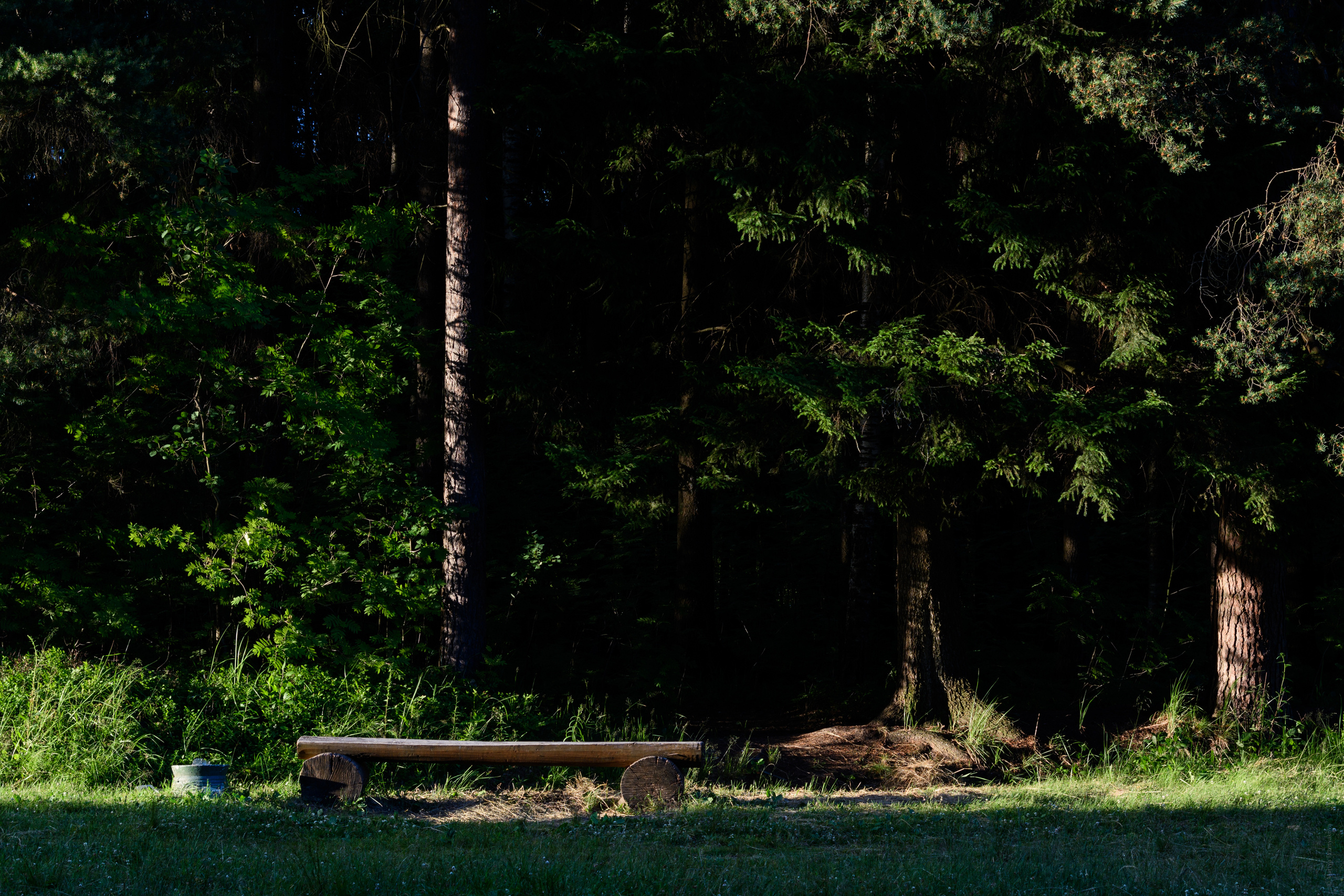 Пейзажи. Семейный и индивидуальный фотограф Life style в Санкт-Петербурге Мария
