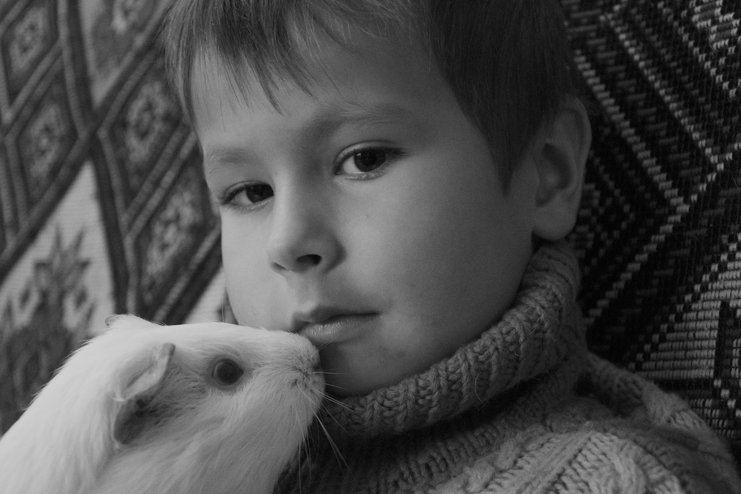 Домашние питомцы. Семейный и индивидуальный фотограф Life style в Санкт-Петербурге Мария