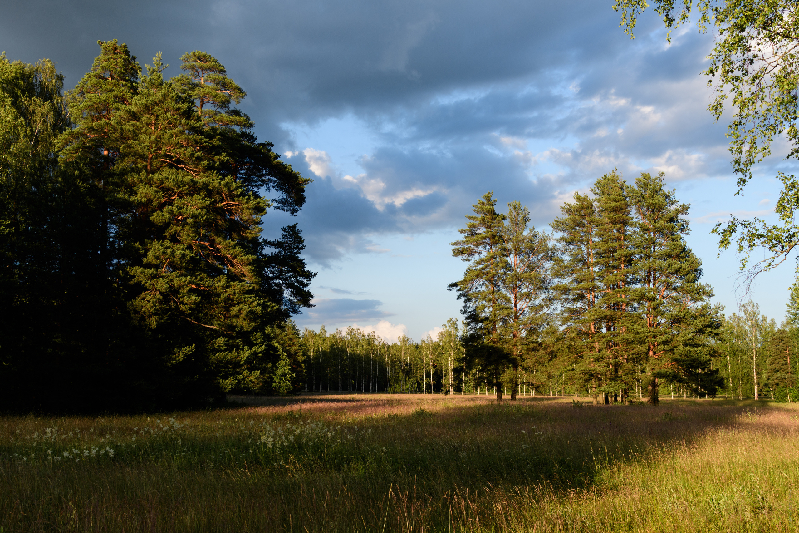 Пейзажи. Семейный и индивидуальный фотограф Life style в Санкт-Петербурге Мария