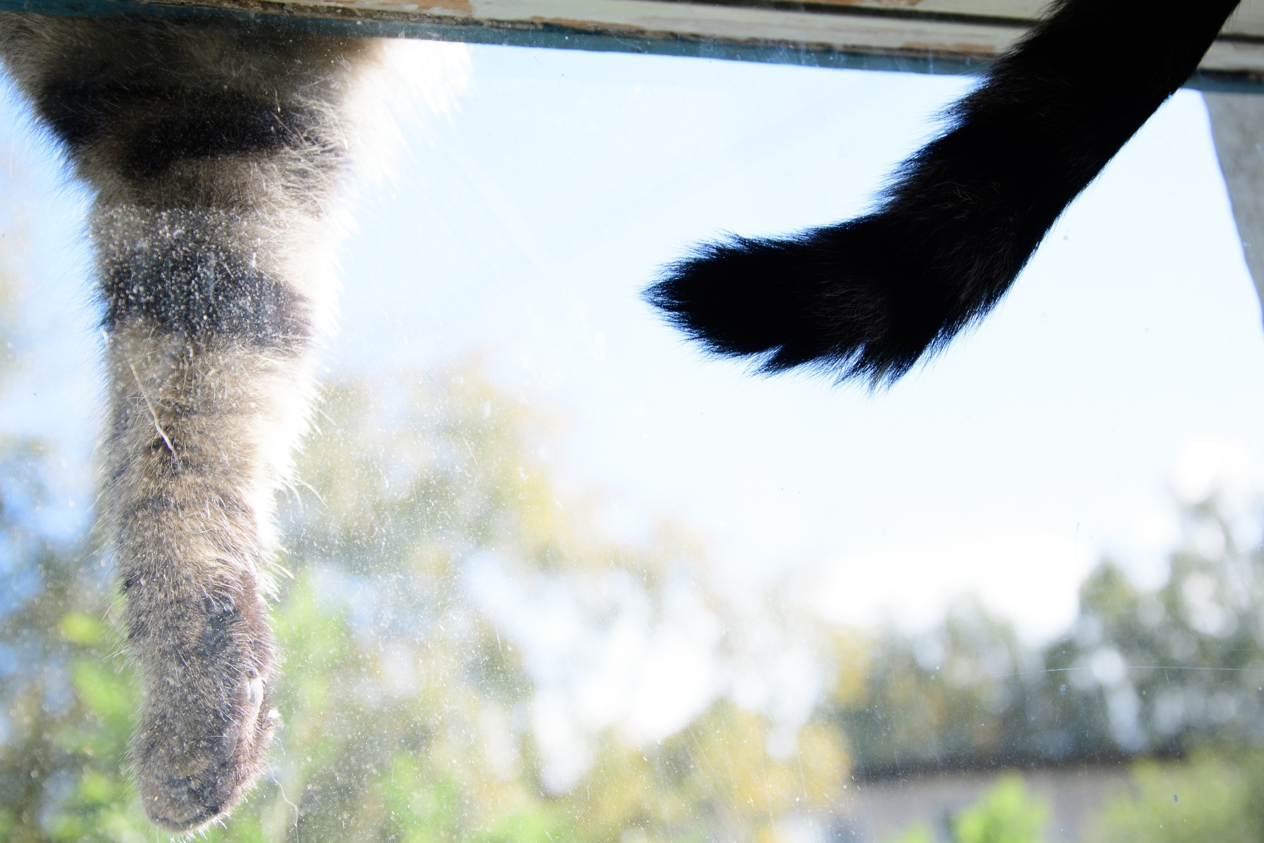 Фотосет: По ту сторону окна. Семейный и индивидуальный фотограф Life style в Санкт-Петербурге Мария