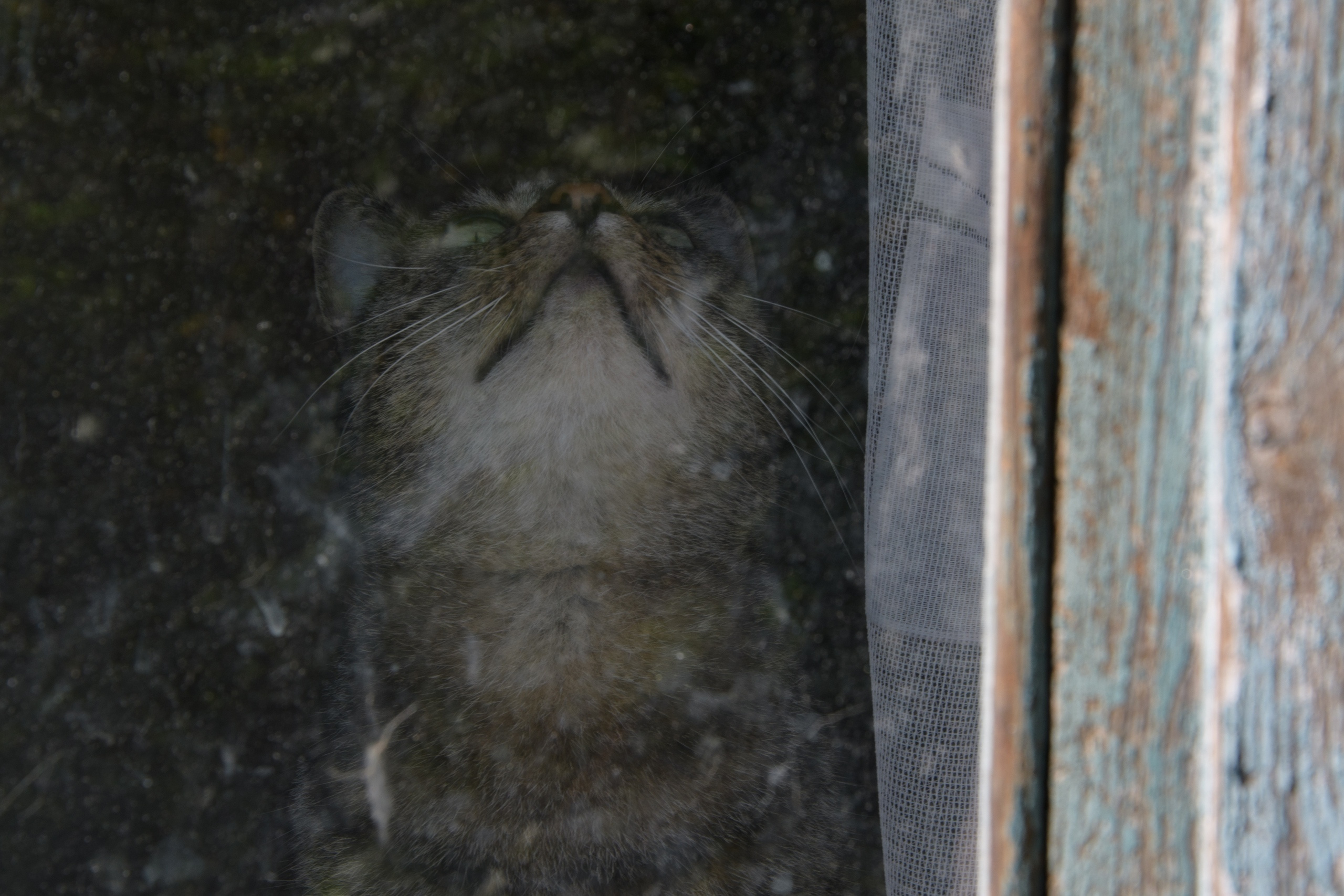 Фотосет: По ту сторону окна. Семейный и индивидуальный фотограф Life style в Санкт-Петербурге Мария