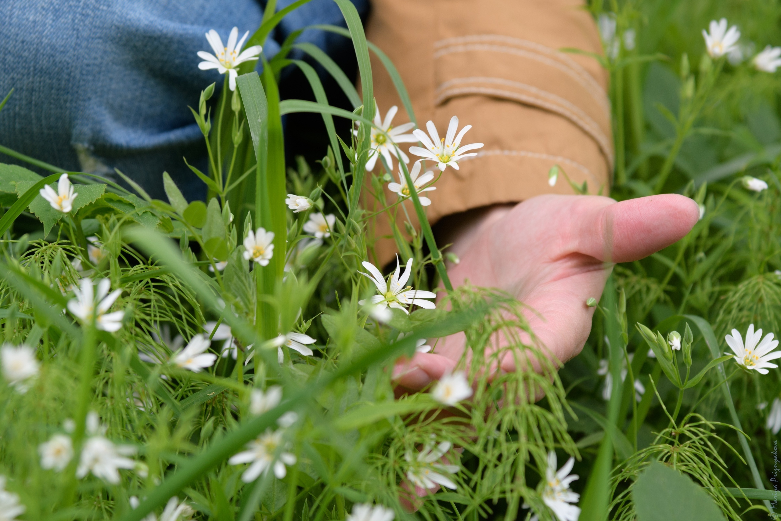 Контент-фотосессия. Семейный и индивидуальный фотограф Life style в Санкт-Петербурге Мария
