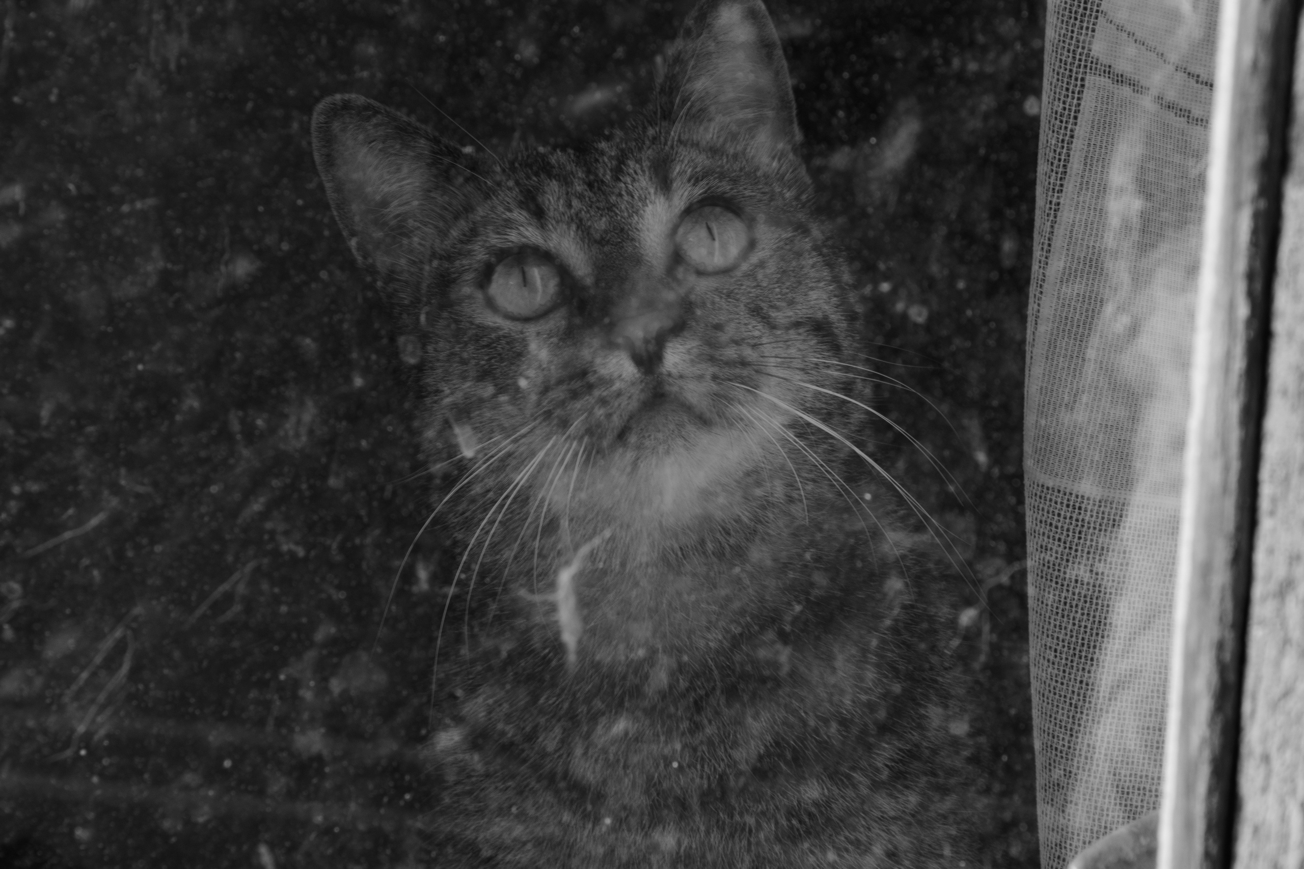 Фотосет: По ту сторону окна. Семейный и индивидуальный фотограф Life style в Санкт-Петербурге Мария