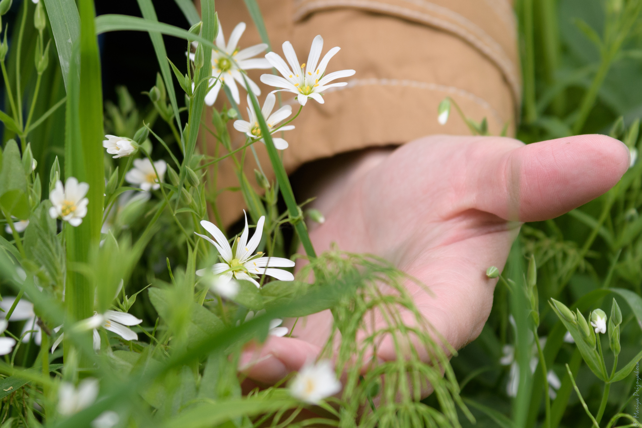 Семейный и индивидуальный фотограф Life style в Санкт-Петербурге Мария