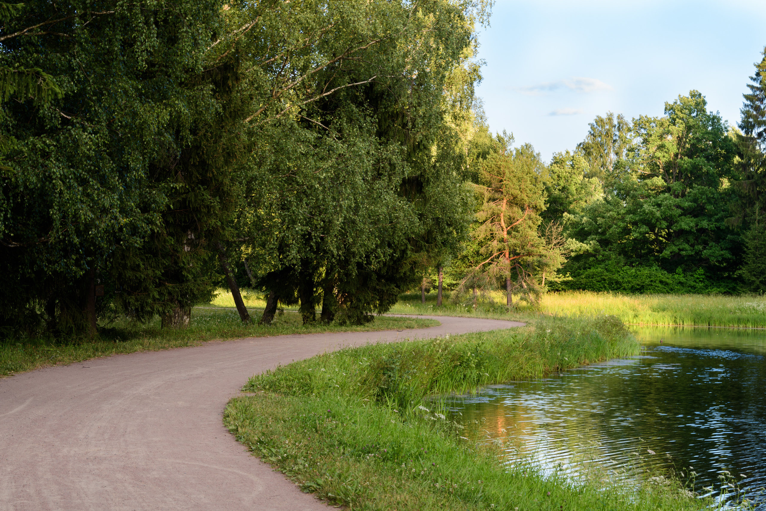 Пейзажи. Семейный и индивидуальный фотограф Life style в Санкт-Петербурге Мария