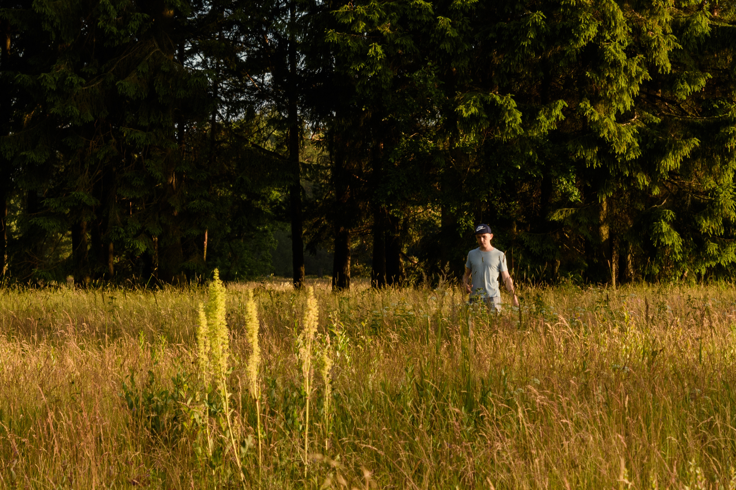 Пейзажи. Семейный и индивидуальный фотограф Life style в Санкт-Петербурге Мария