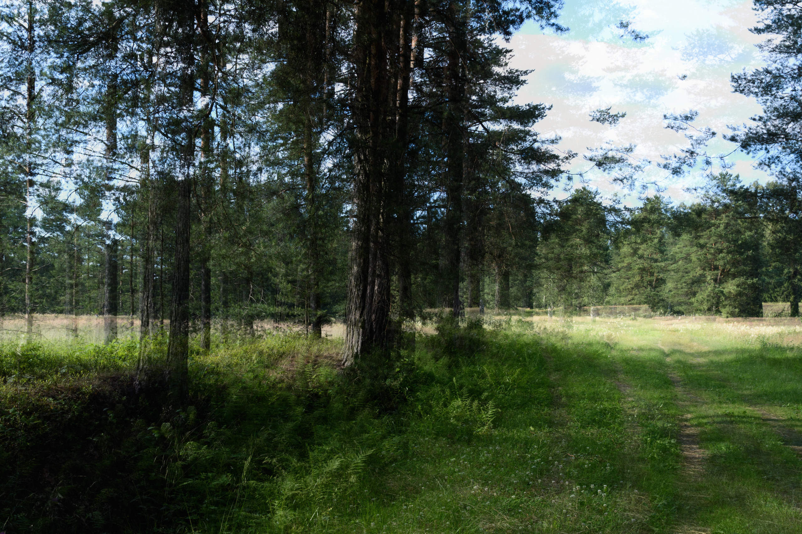 Пейзажи. Семейный и индивидуальный фотограф Life style в Санкт-Петербурге Мария