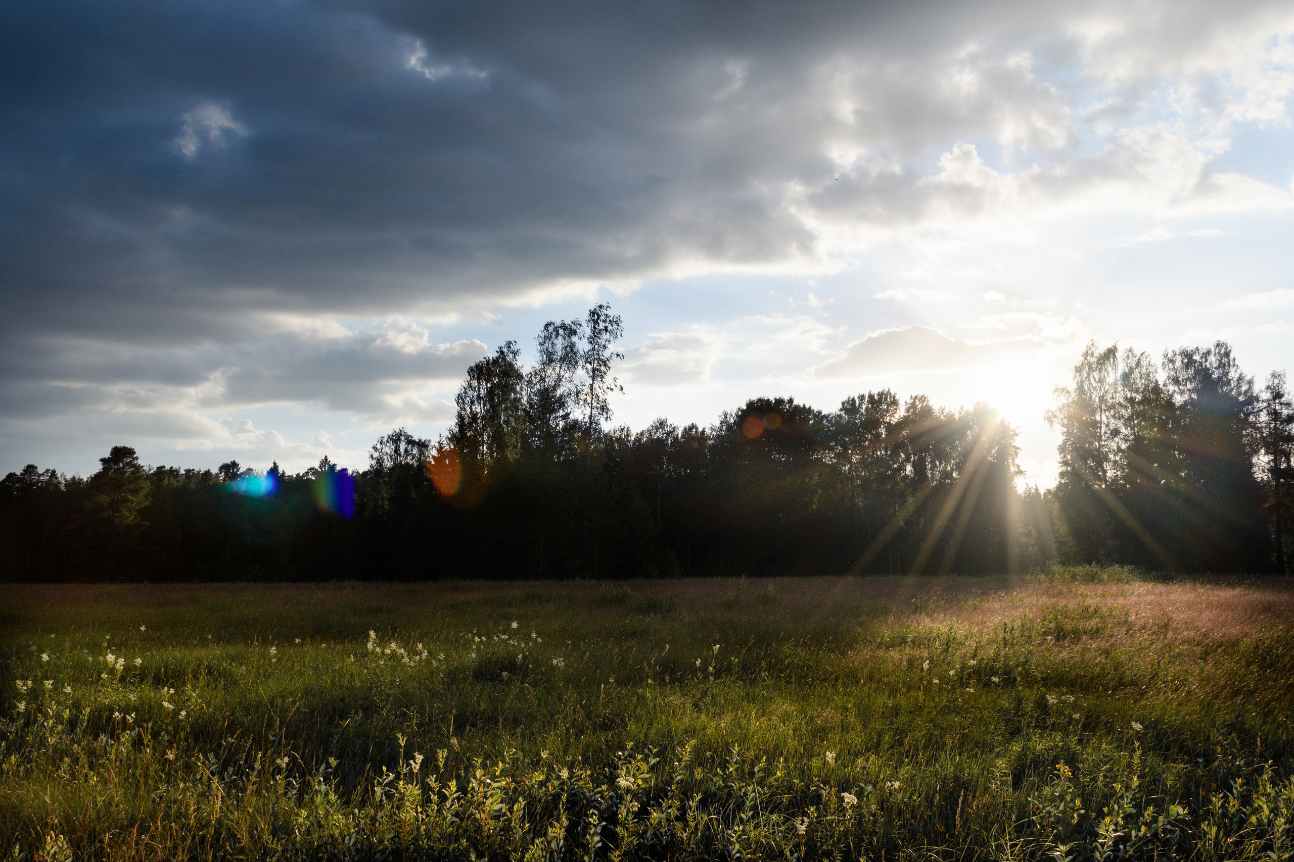 Пейзажи. Семейный и индивидуальный фотограф Life style в Санкт-Петербурге Мария