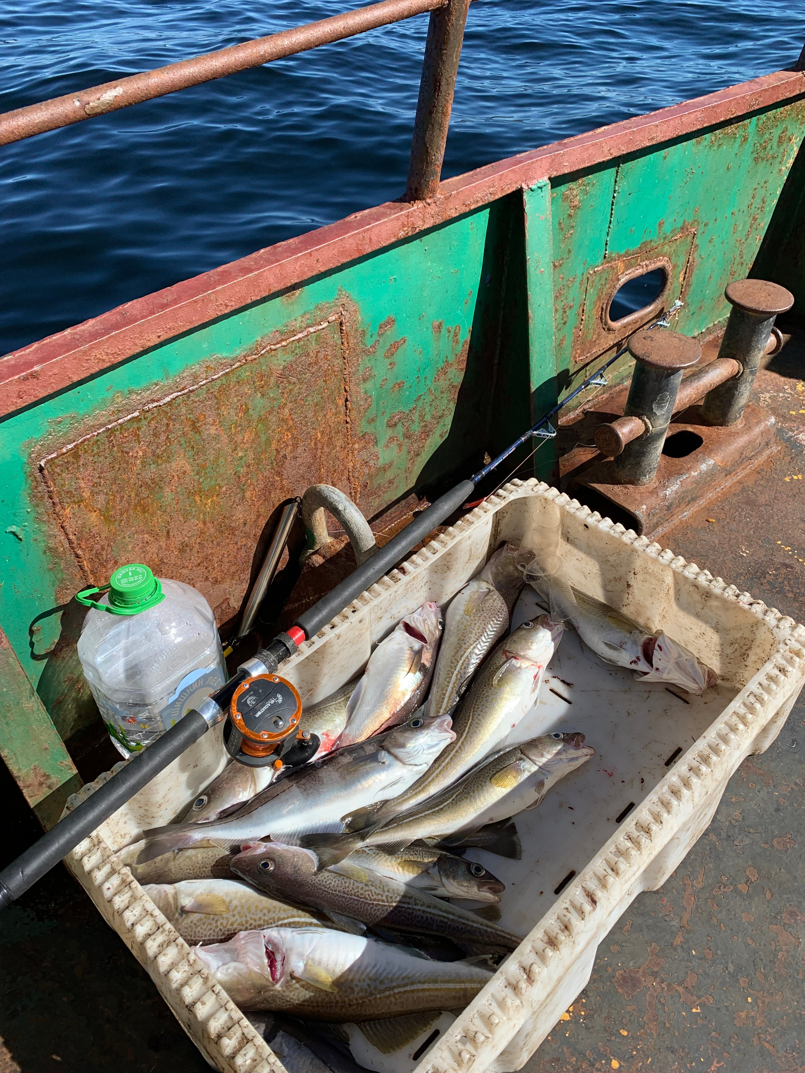 Териберка — 20. Своя Мастерская