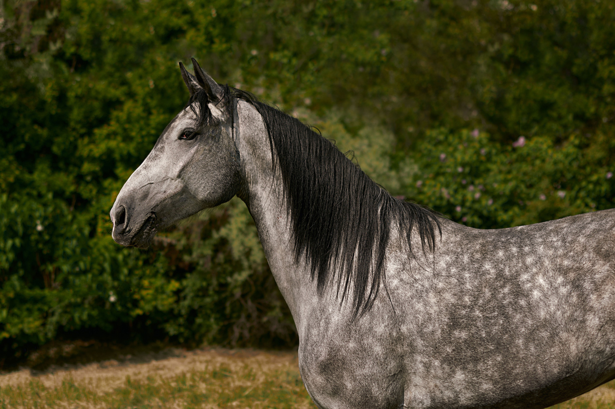 Глазурь. Фотограф в Севастополе
