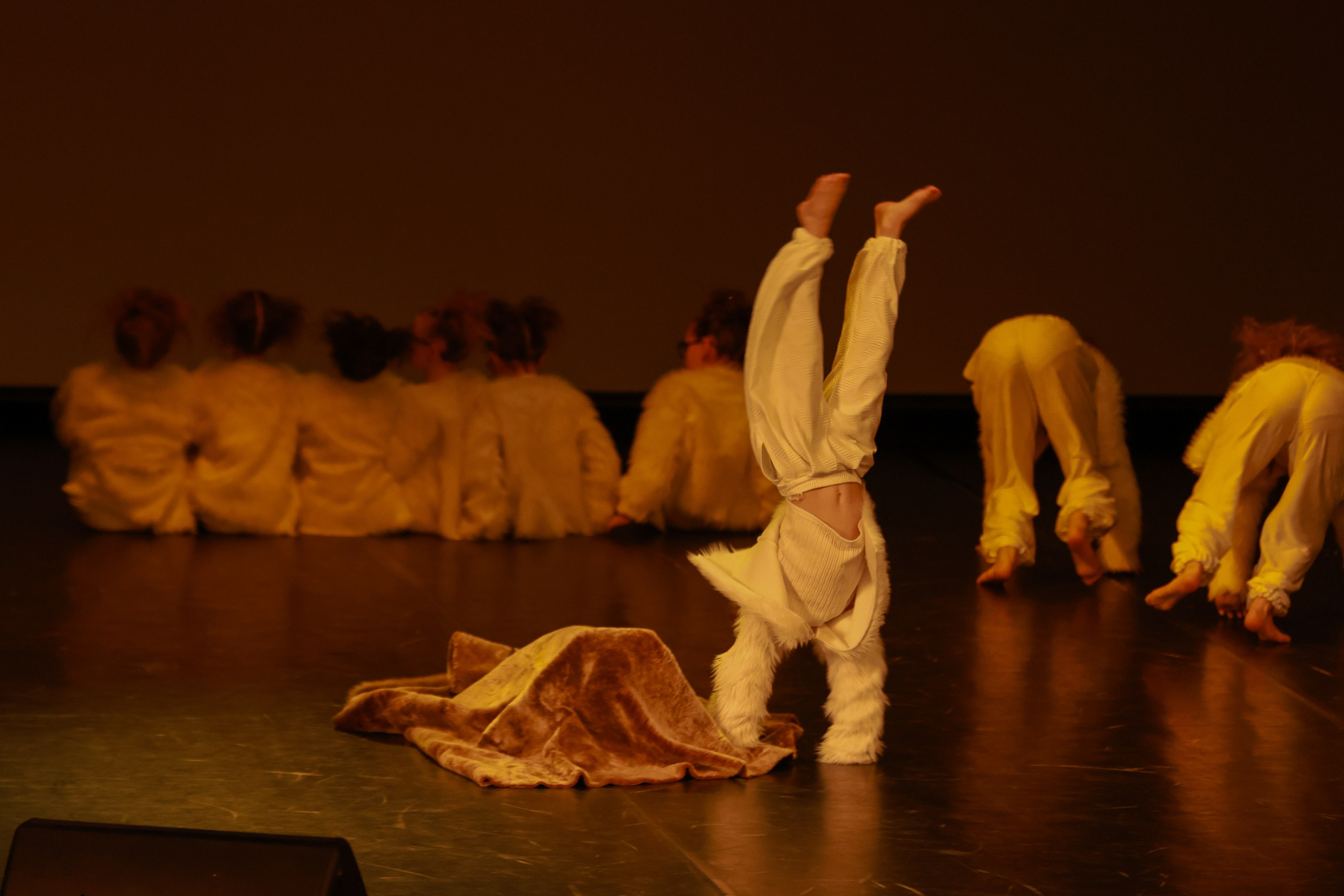 Небесные ласточки на Танц ЭКСПО 2026. Фотограф Юлия Мальцева