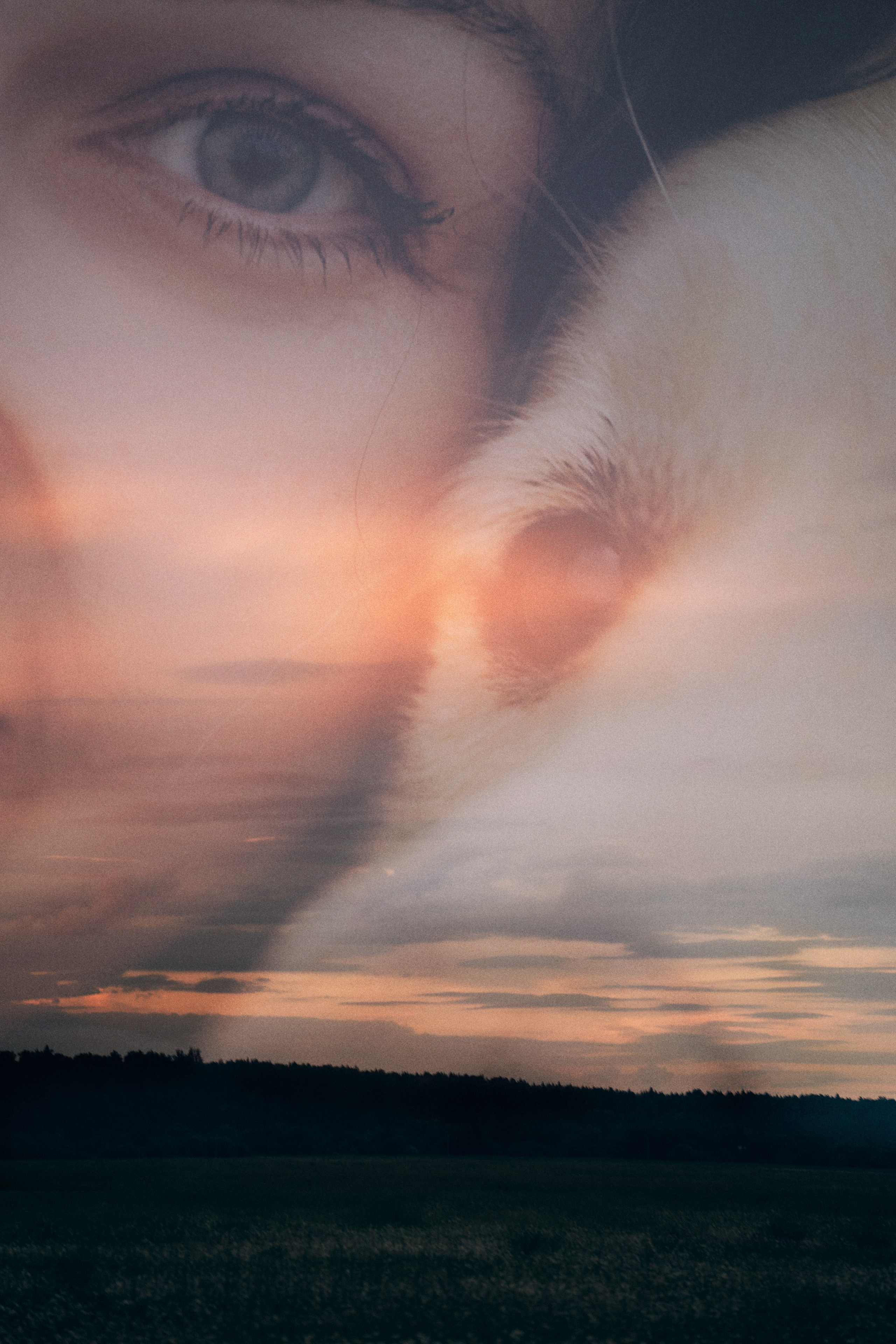 Кристина, Александр, Каролина, Владлен и Космос. Фотограф анималист в Москве и Санкт-Петербурге Свиридова Анна