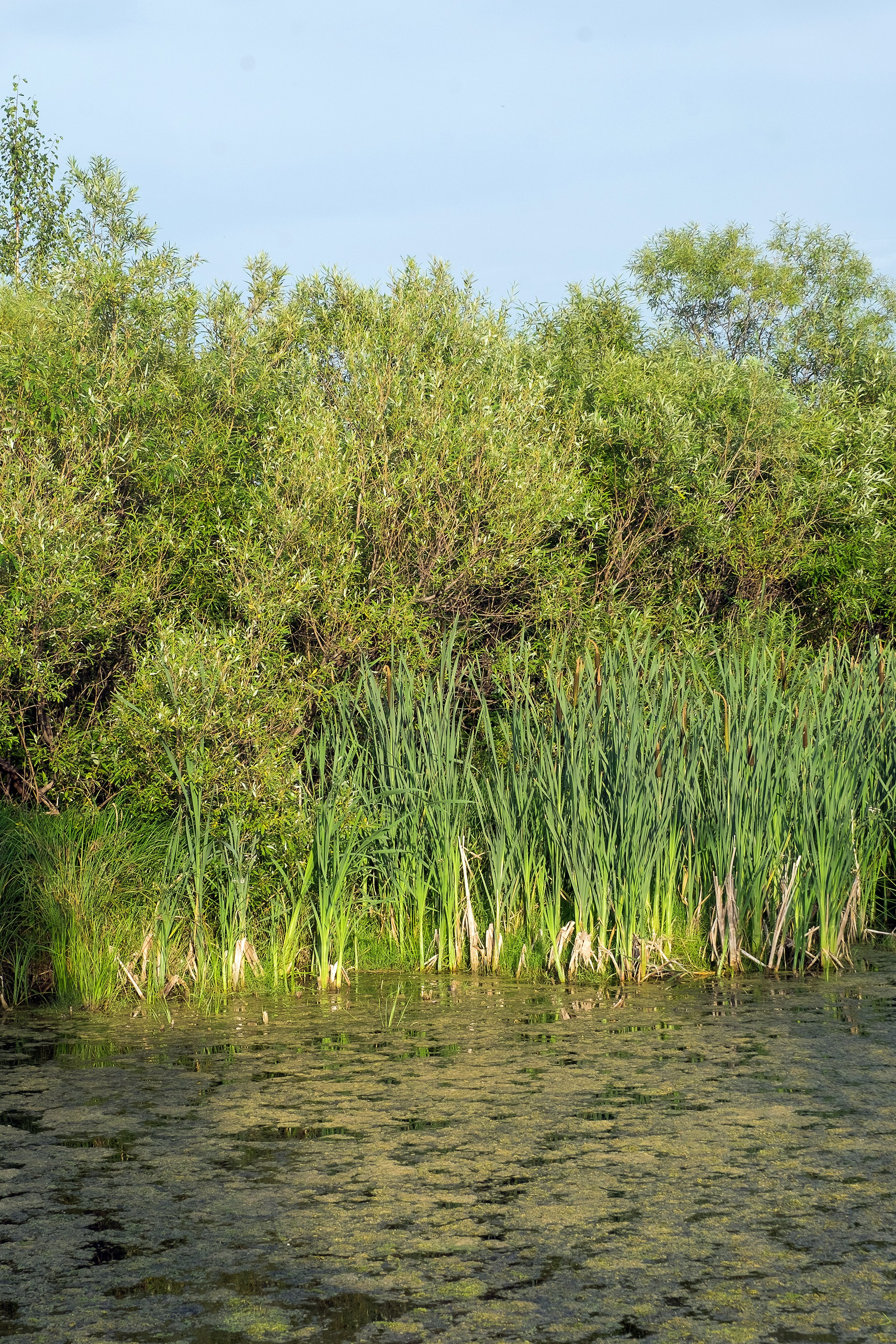 Landscapes. Стас Понятовский