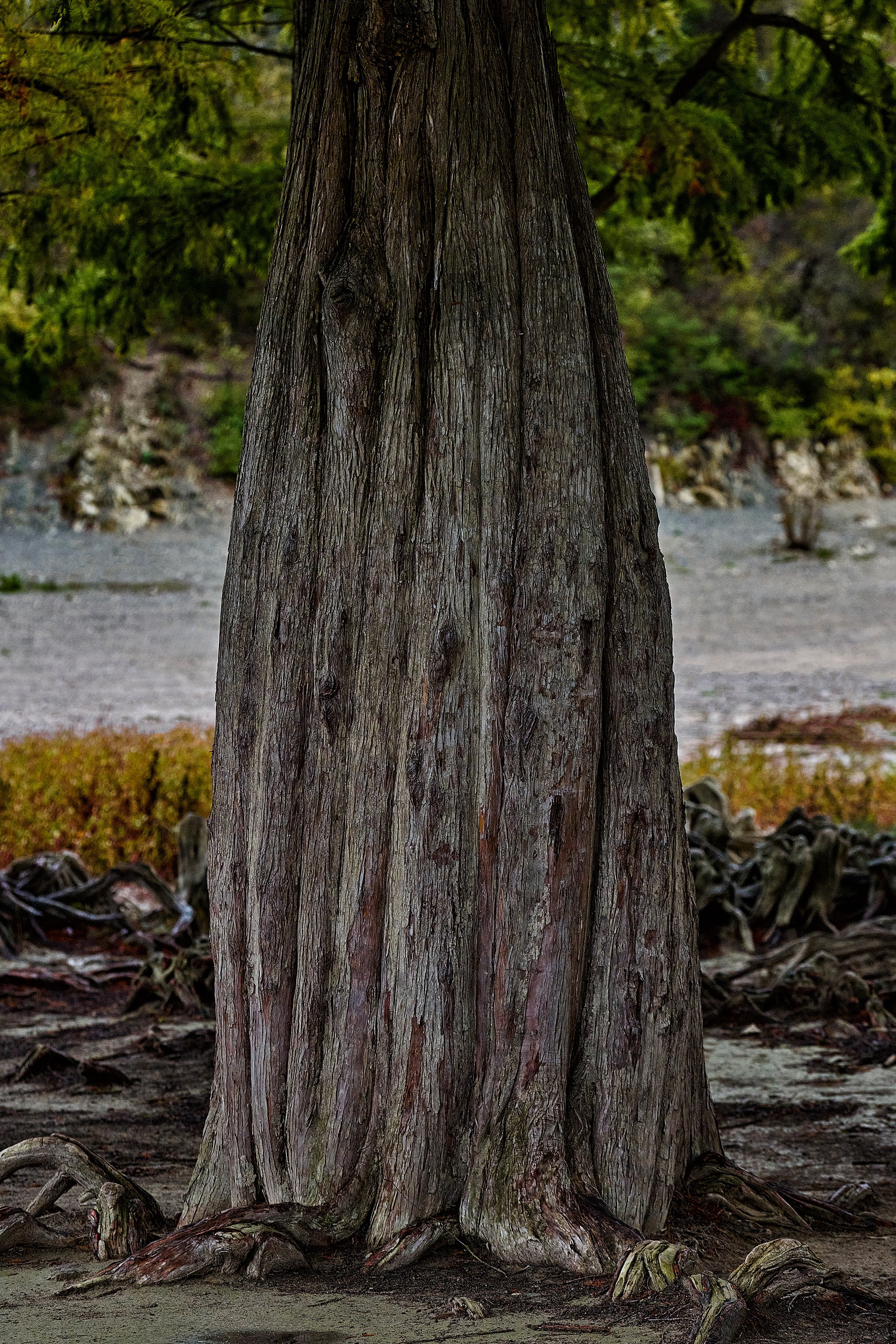 Текстуры и другие фоны. Textures and other. Яркие фото на Чёрном море