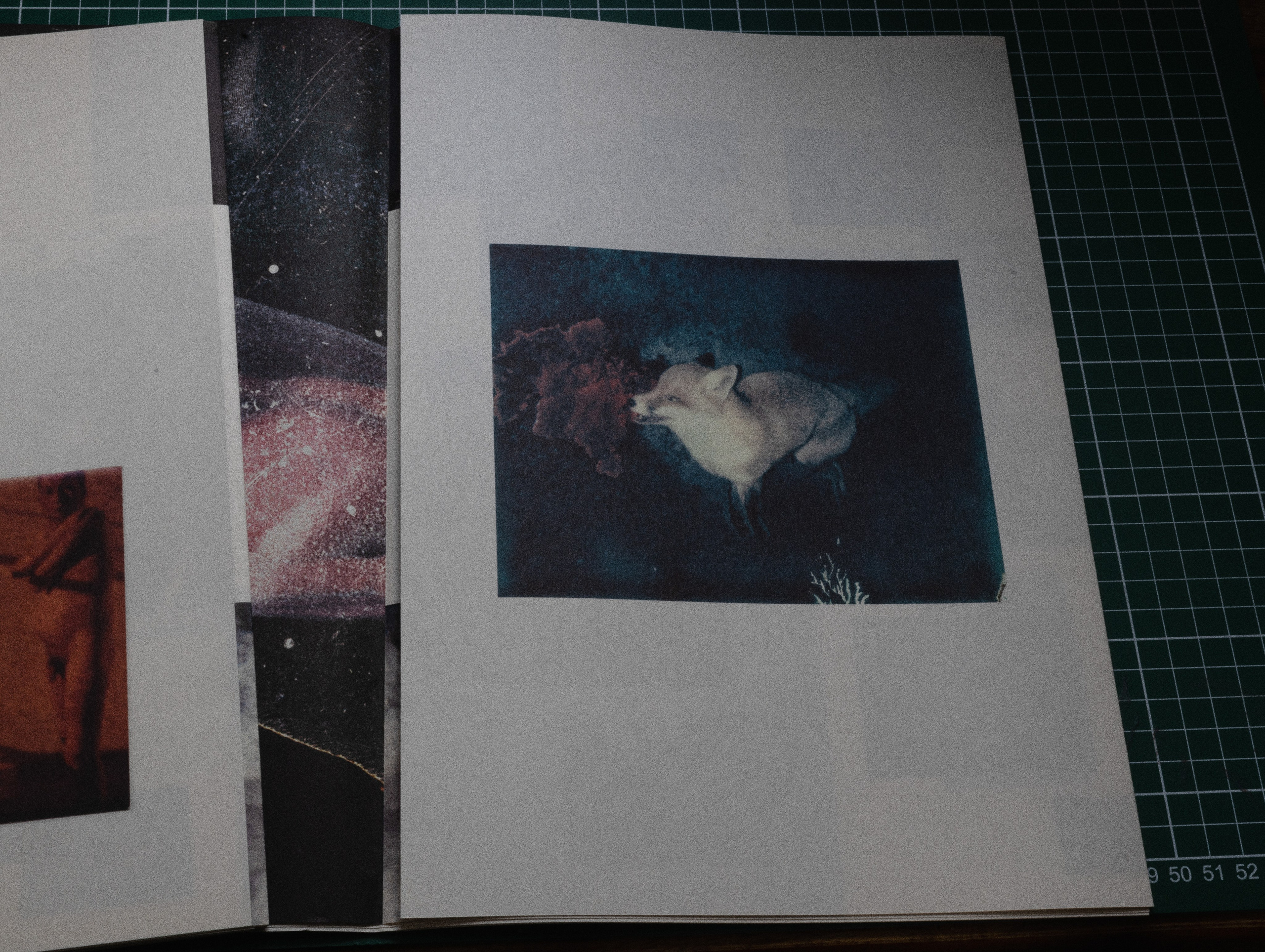 Фотокнижная библиотека Светы Кавериной. Фотограф и исследователь фотографии из Санкт-Петербурга Елизавета Веприцкая