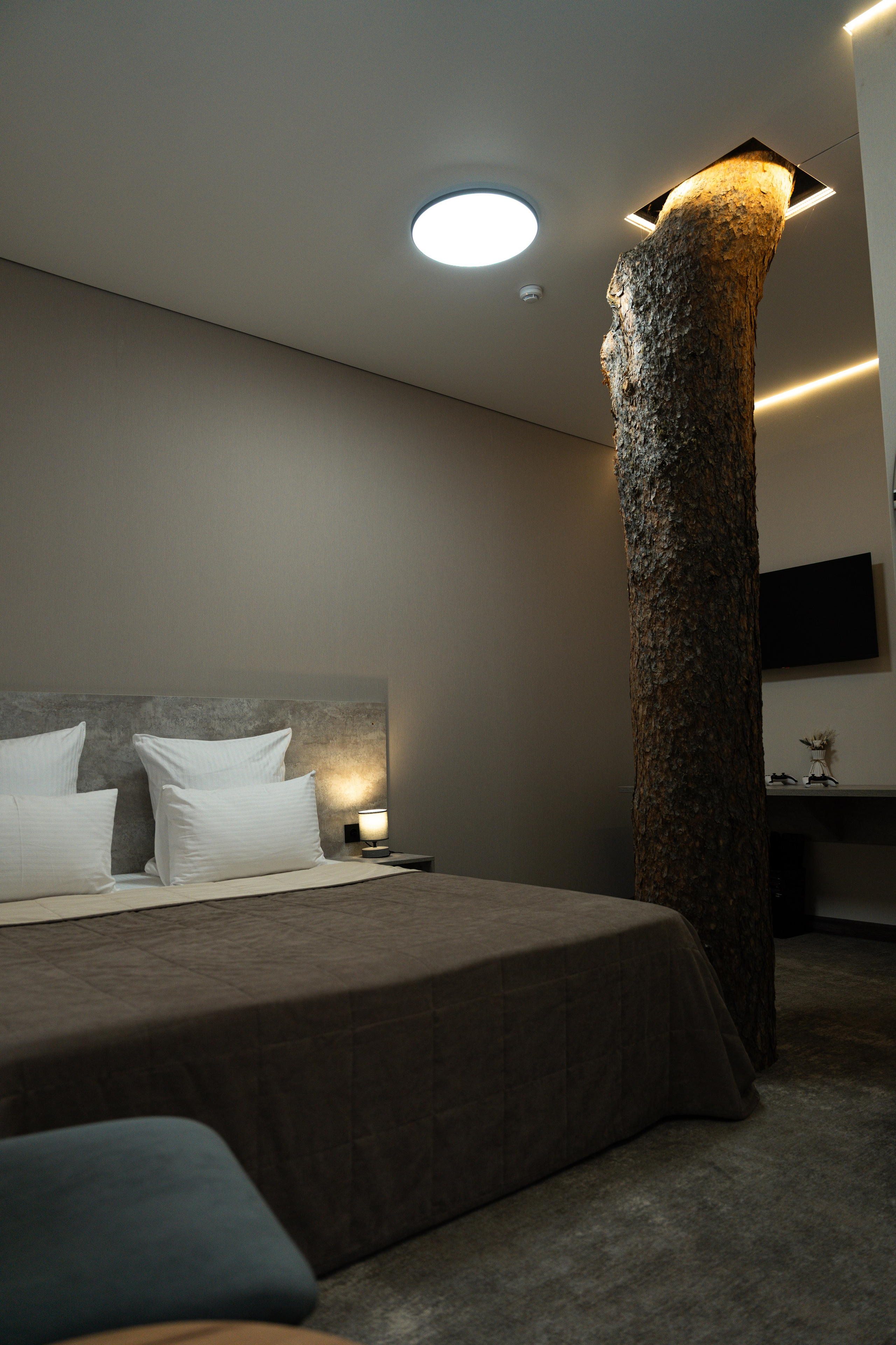 Эклер. Фотограф и видеограф Елена Хмелевская