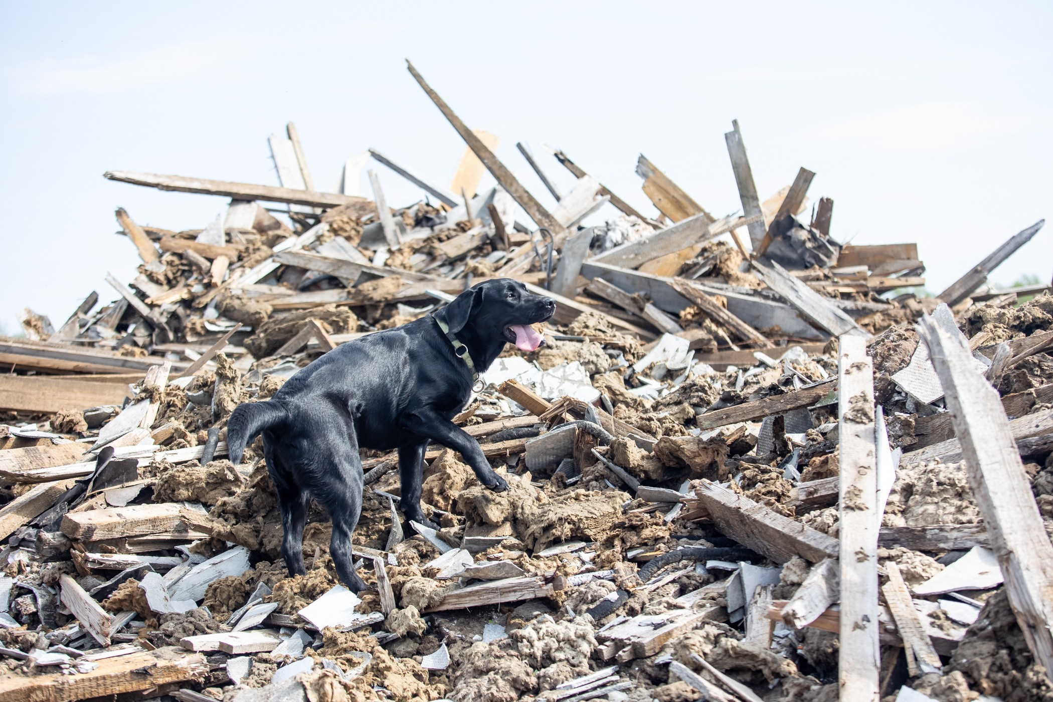 ПСС Соревнования в Нижегородской области г. Чкаловск 2023-04-28. Фотограф Ирина Астор