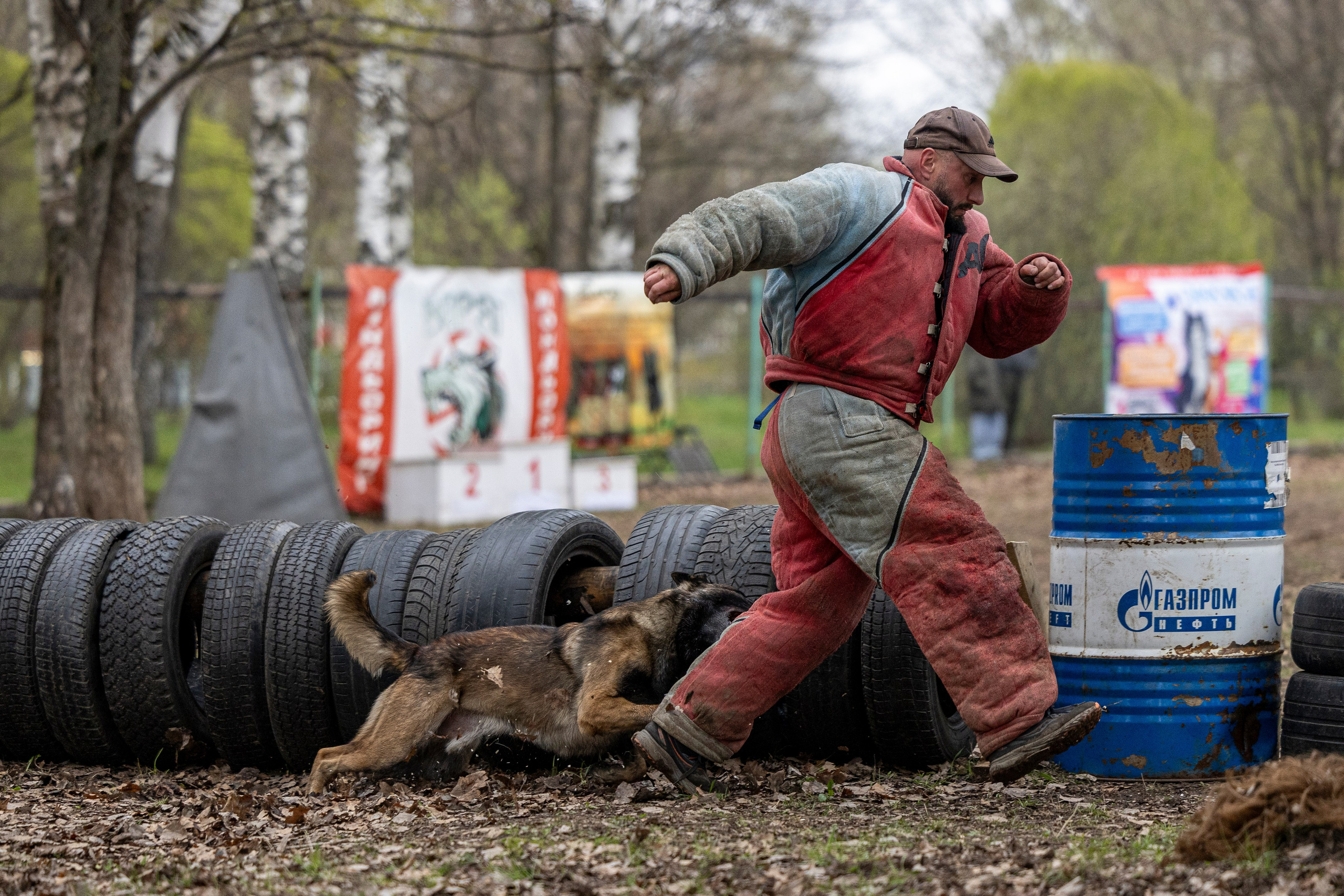 Квалификационные состязания по мондьорингу г. Вологда 11.05.24. Фотограф-анималист Анна Маринич
