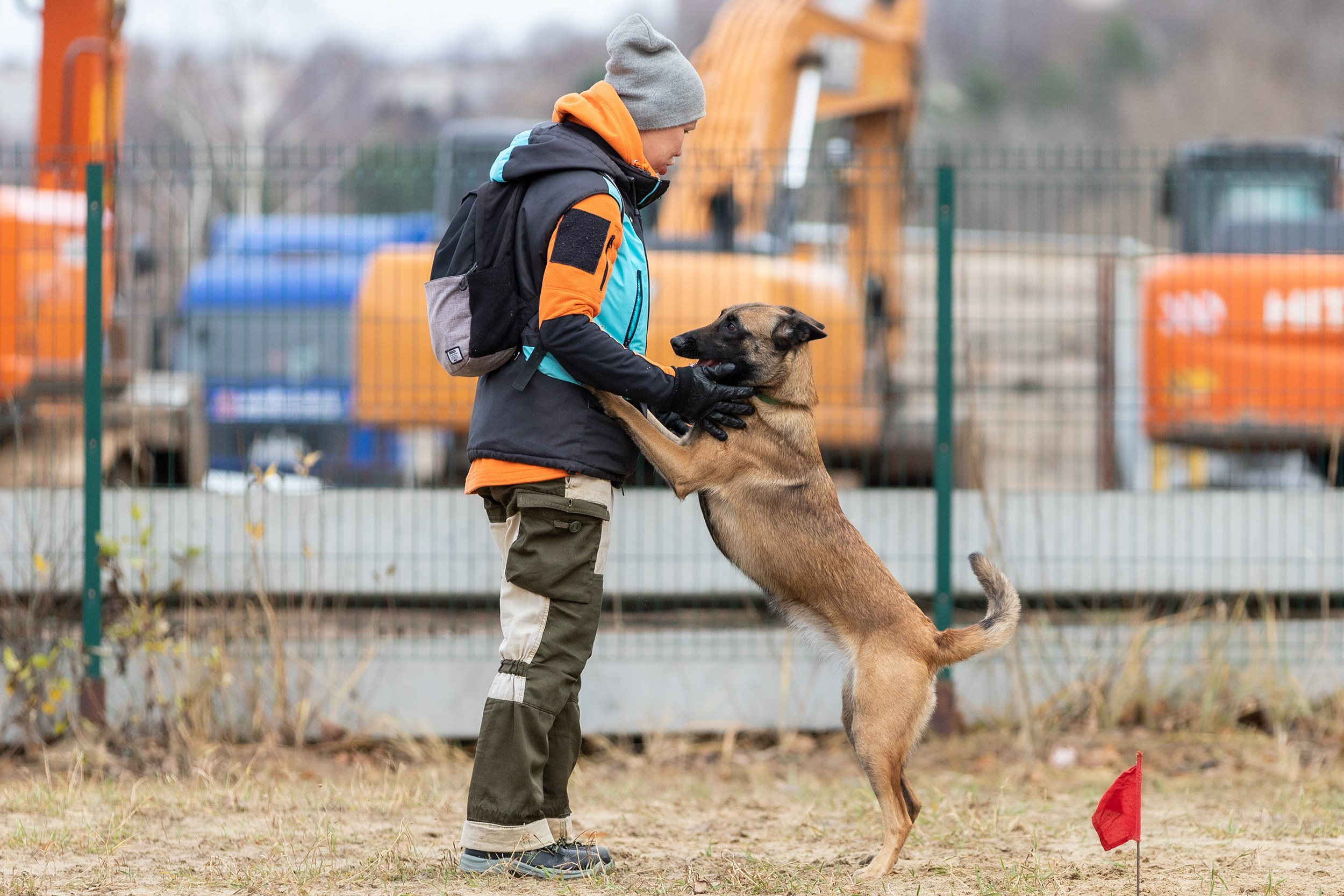 Вера и Чейз на экзамене ОКД. Фотограф-анималист в Калуге Мария Шерскова