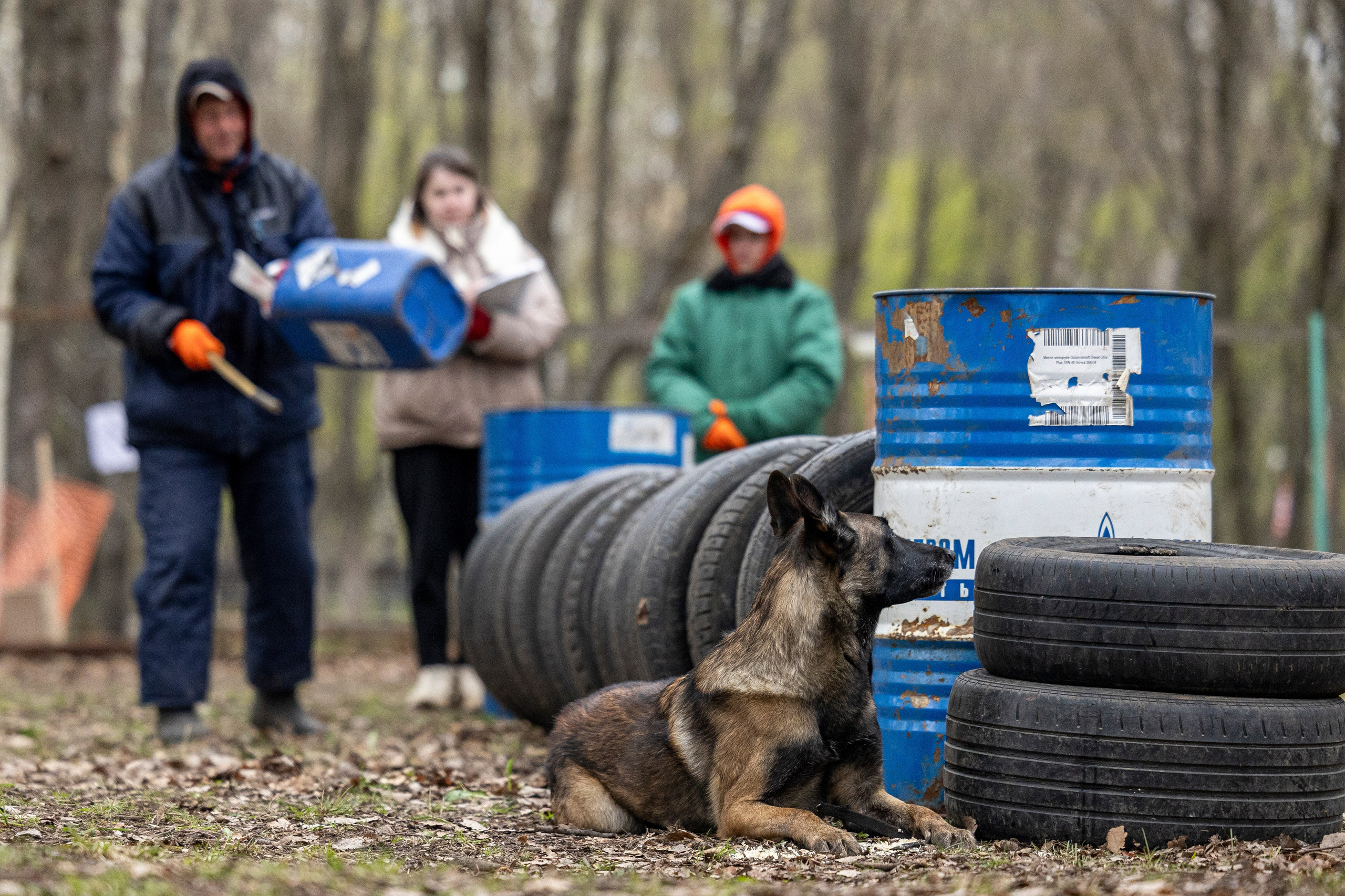 Квалификационные состязания по мондьорингу г. Вологда 11.05.24. Фотограф-анималист Анна Маринич