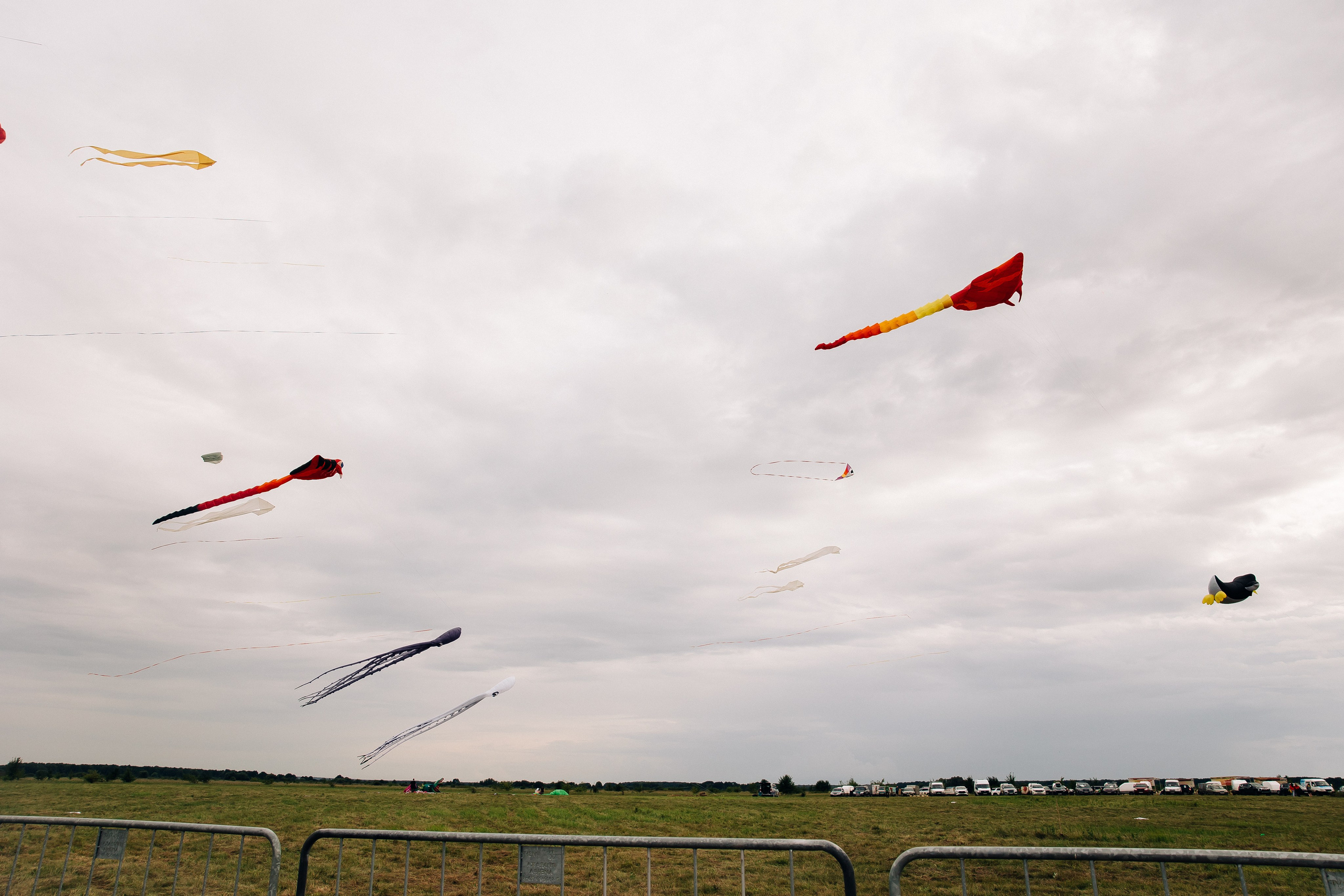 Фестиваль в Рязани. Свадебный и семейный фотограф в Воронеже Свиридова Евгения