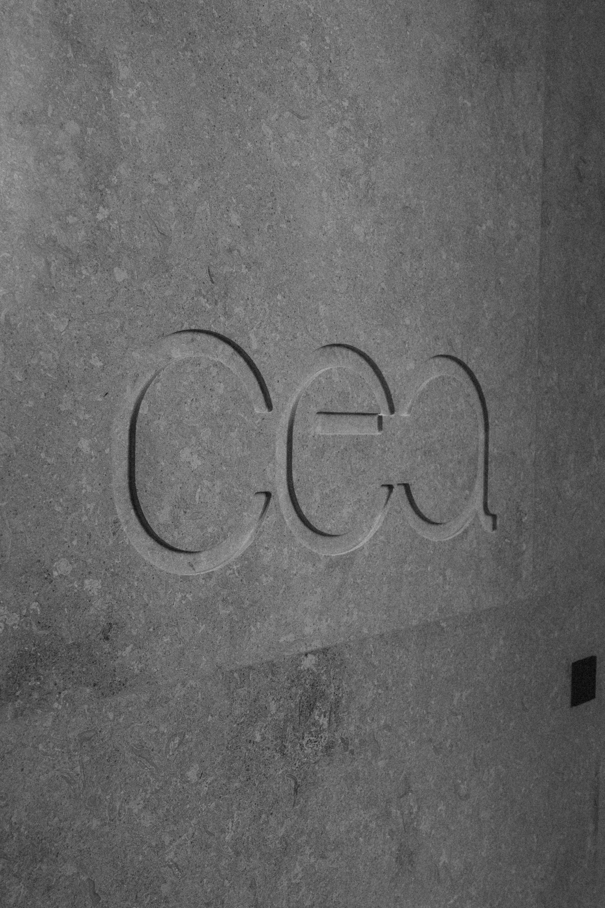 CEA. Фотограф Гвоздева Варвара / Москва