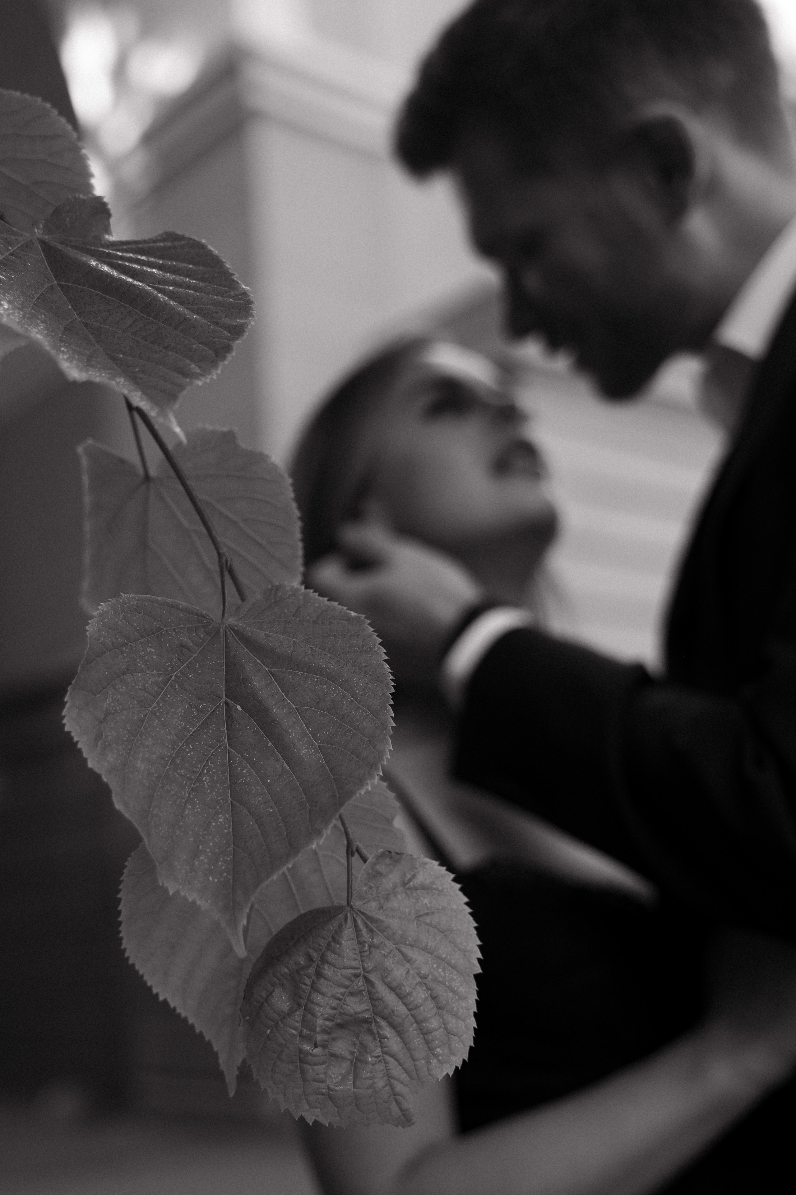 Алексей & Анастасия. Свадебный фотограф в Петрозаводске Сергей Кокорев