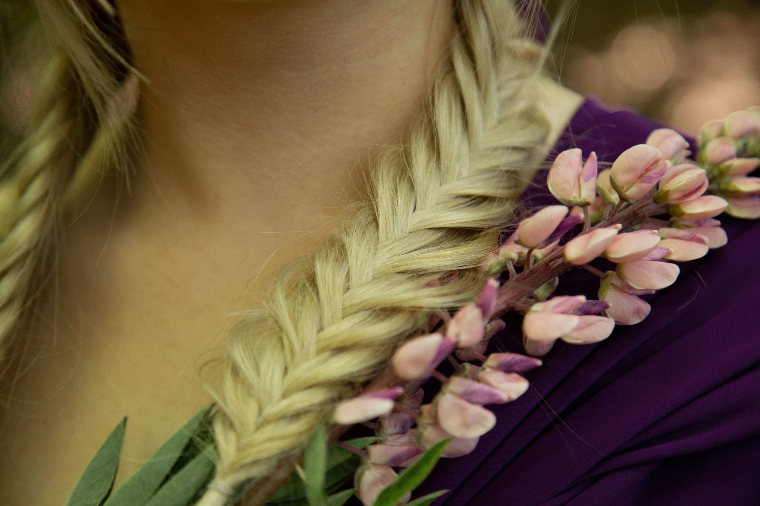 СКАЗКА. Главная