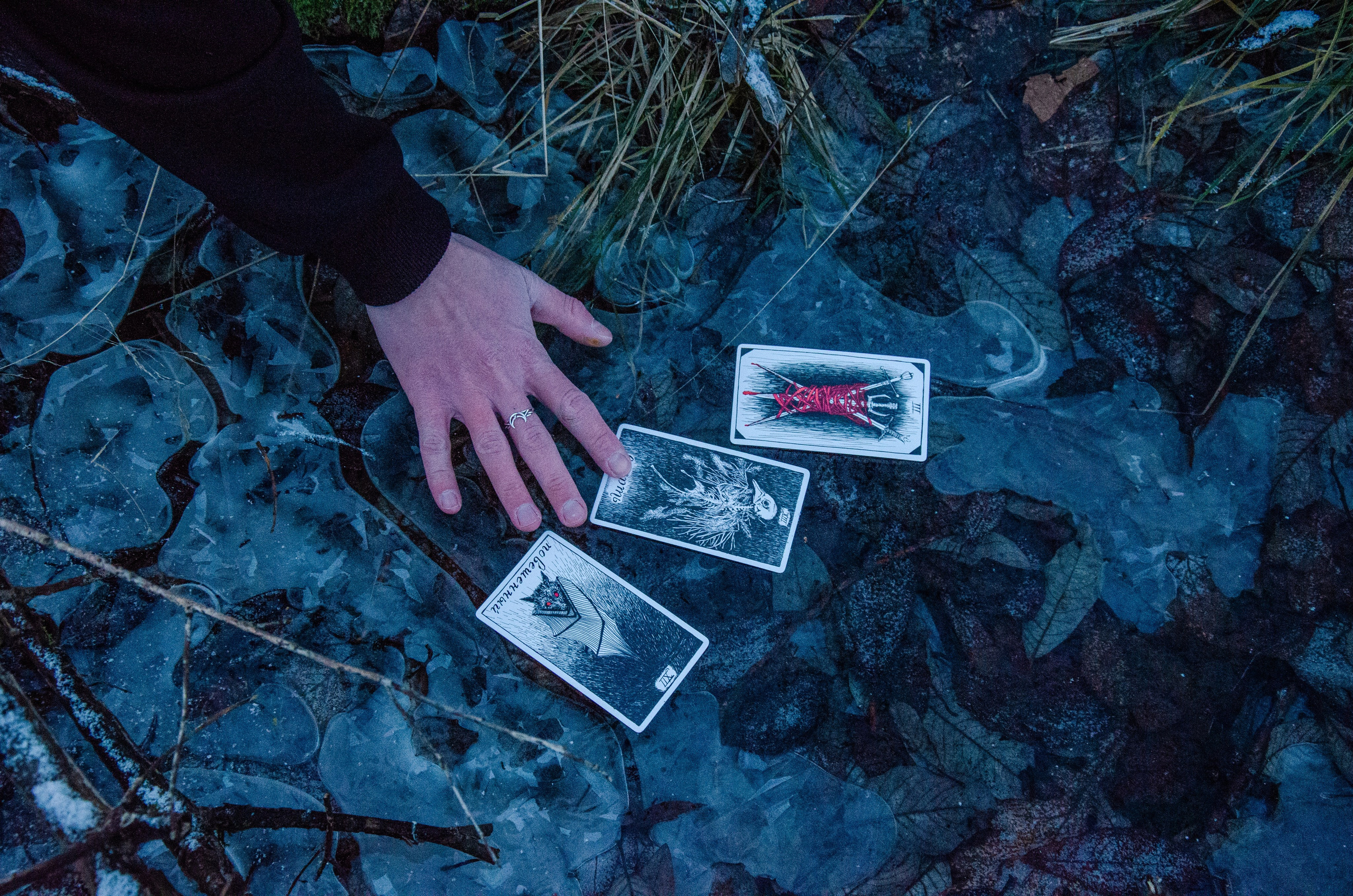 Фотограф СПб | Лесная фотосессия