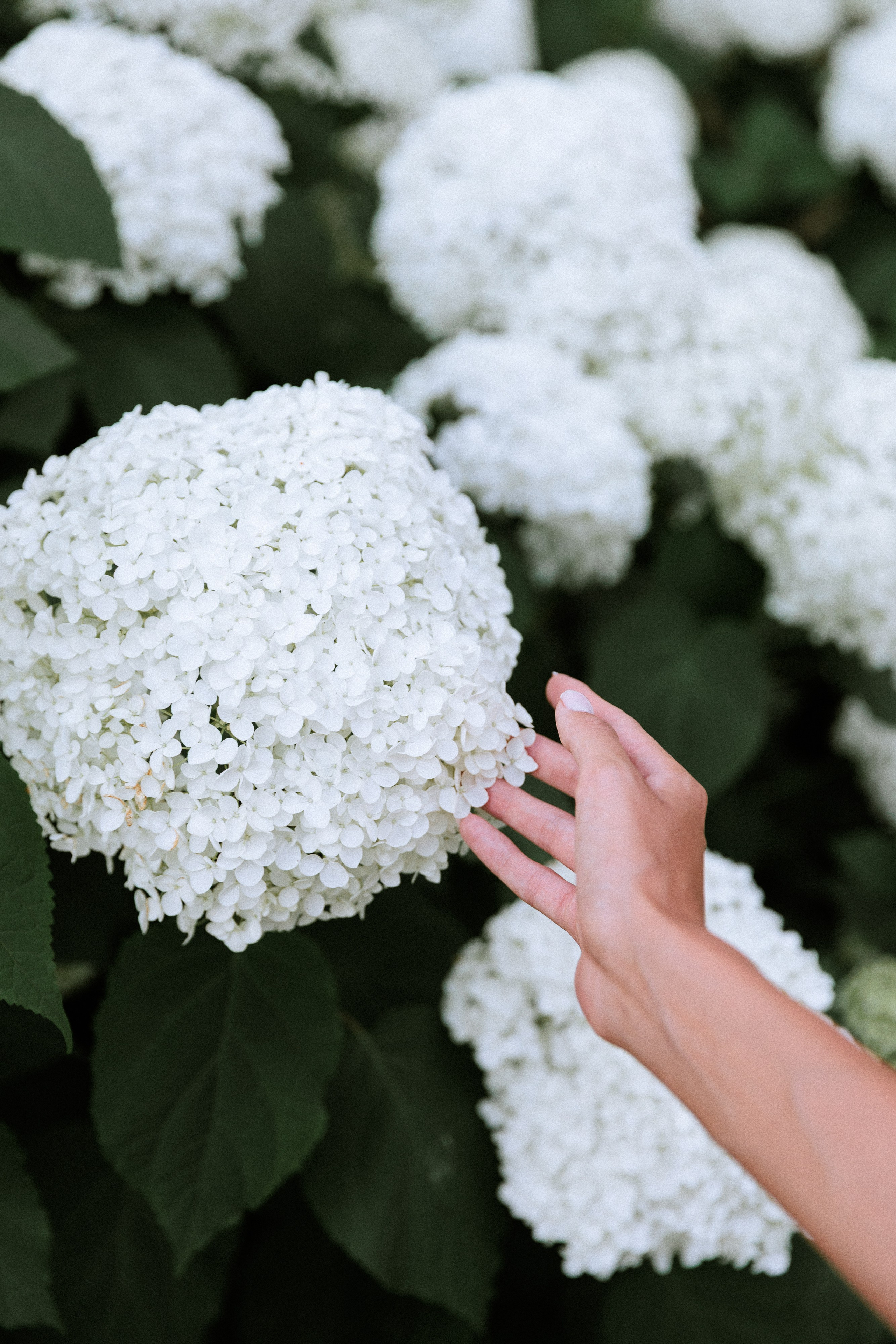 Милена. Фотограф в Москве Людмила Малова
