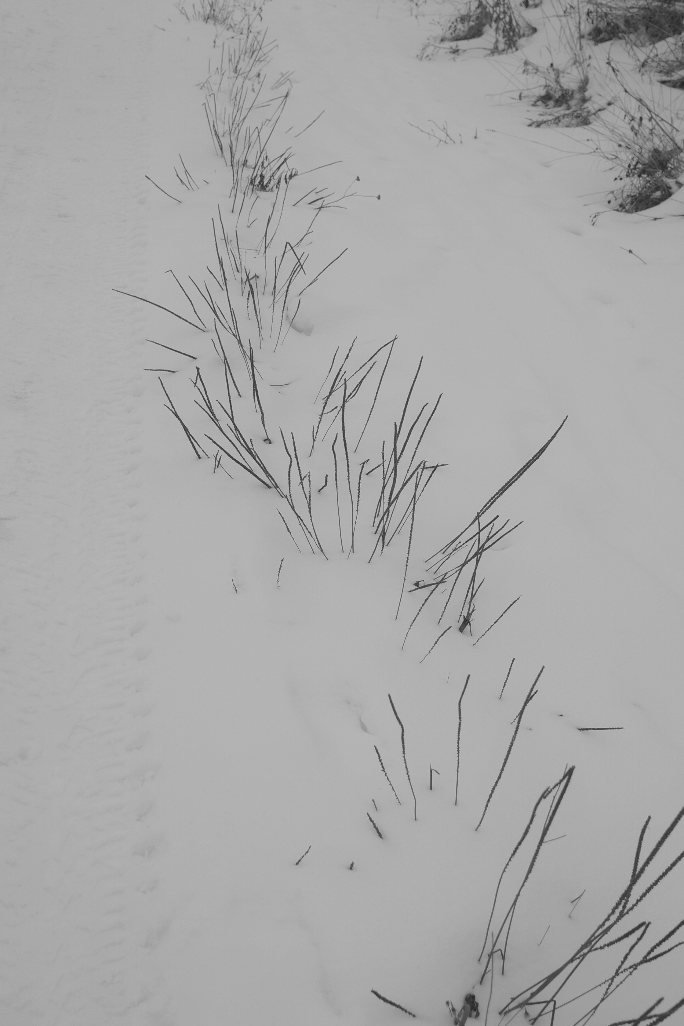 — 2025. Фотограф Злата Спицына