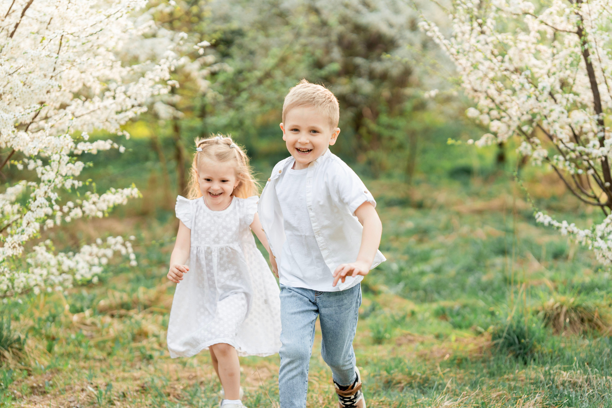 Цветение. Фотограф Юлия Попова