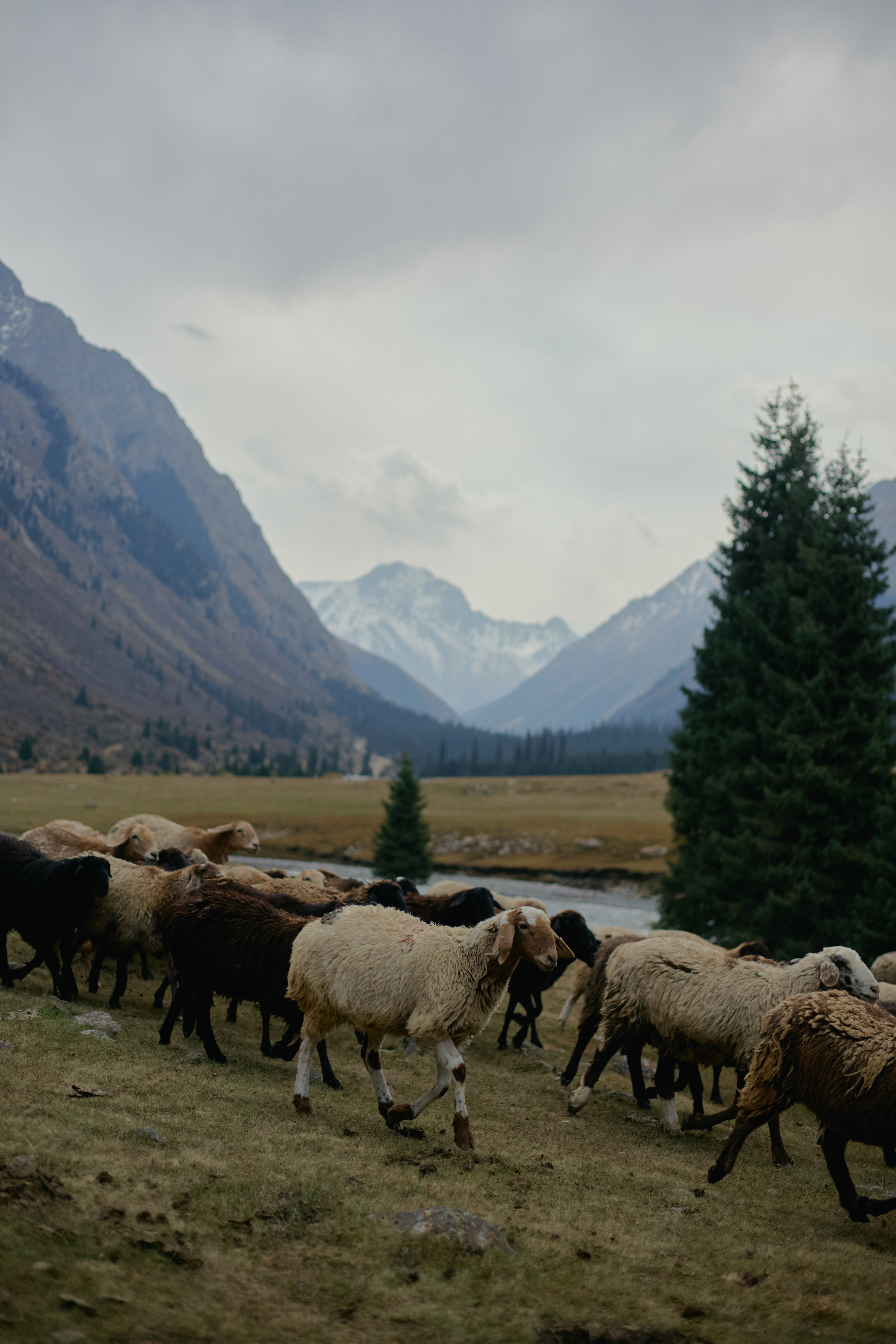 Кыргызтан. Профессиональный Фотограф во Владимире, в Москве и в Суздале — Полина Романычева