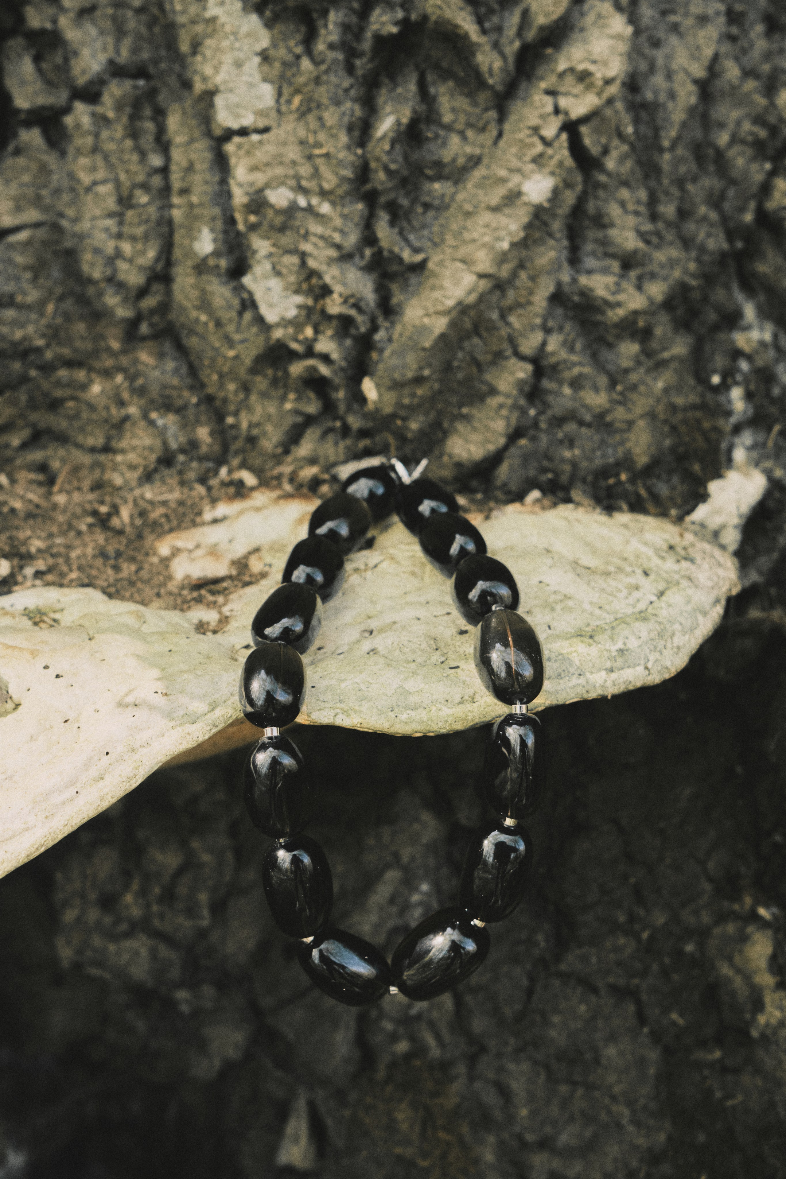 Content for OMNIS. DISEMICHASNOVA