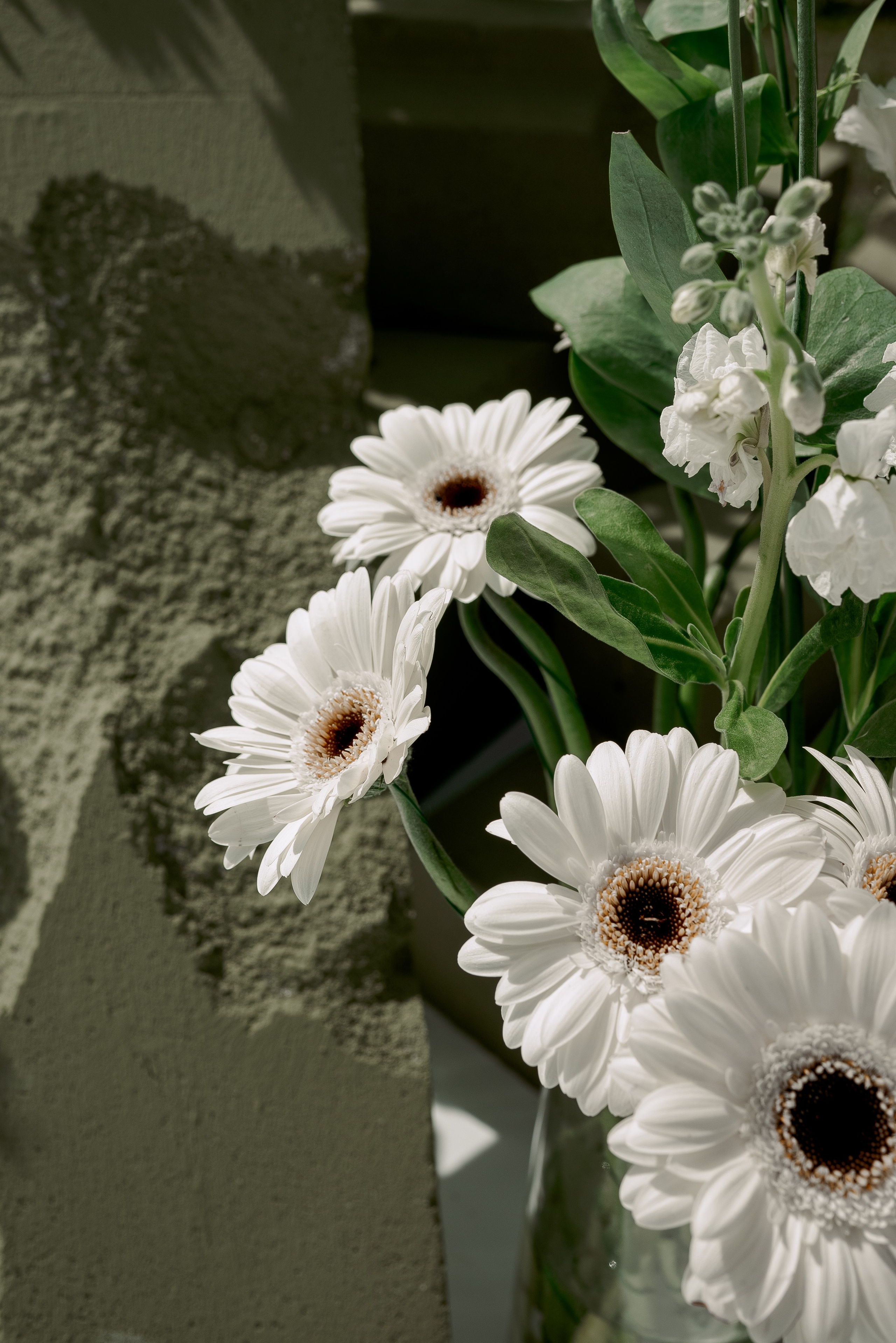 Никита и Вероника. Свадебный фотограф Евгения Наумовец