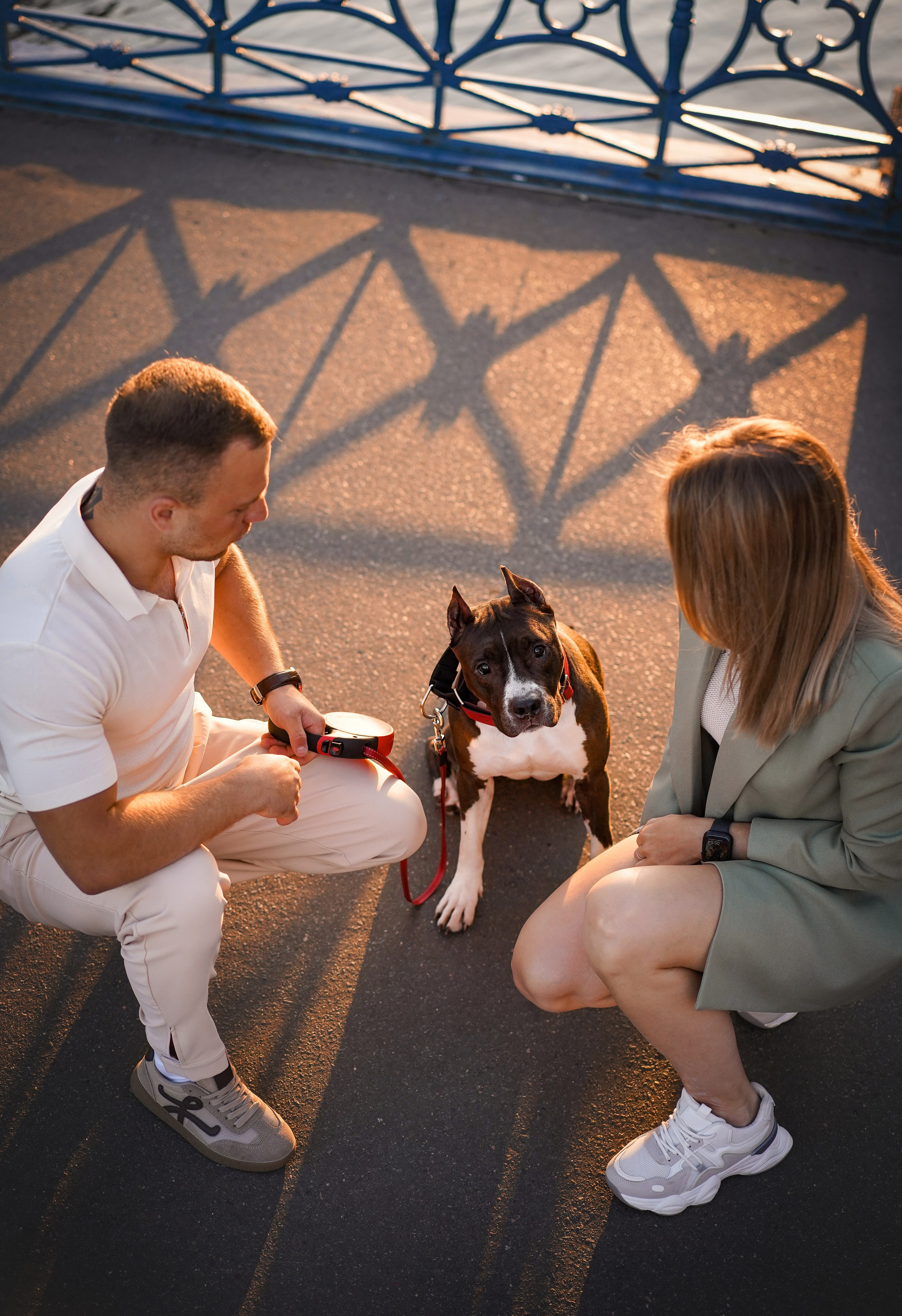 Аня Терентий и Кайли. Фотограф-анималист в Санкт-Петербурге Яна Мартынова