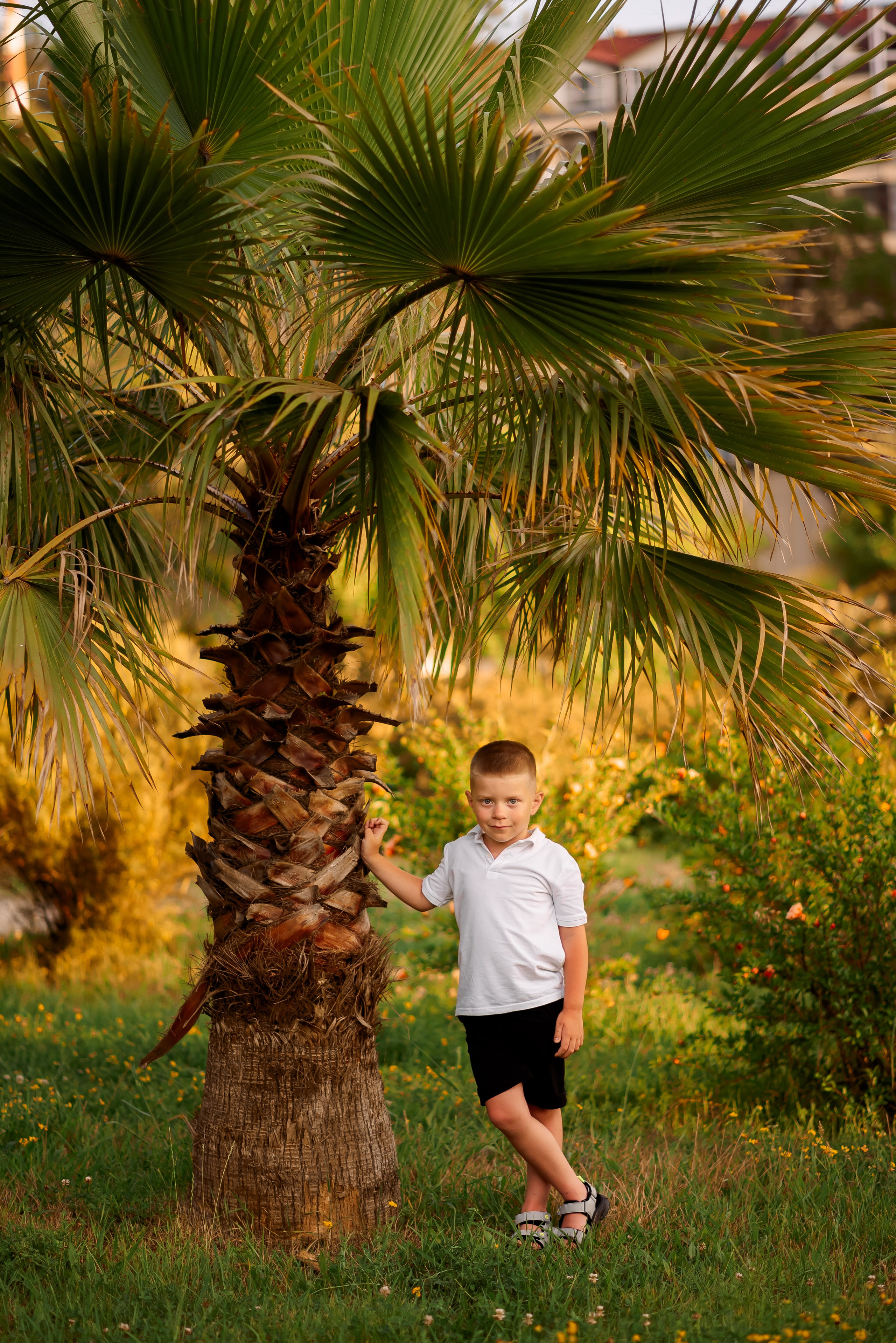 Семейные. Семейный и женский фотограф Лоо Краснодар Сочи Энем Татьяна Трибурт