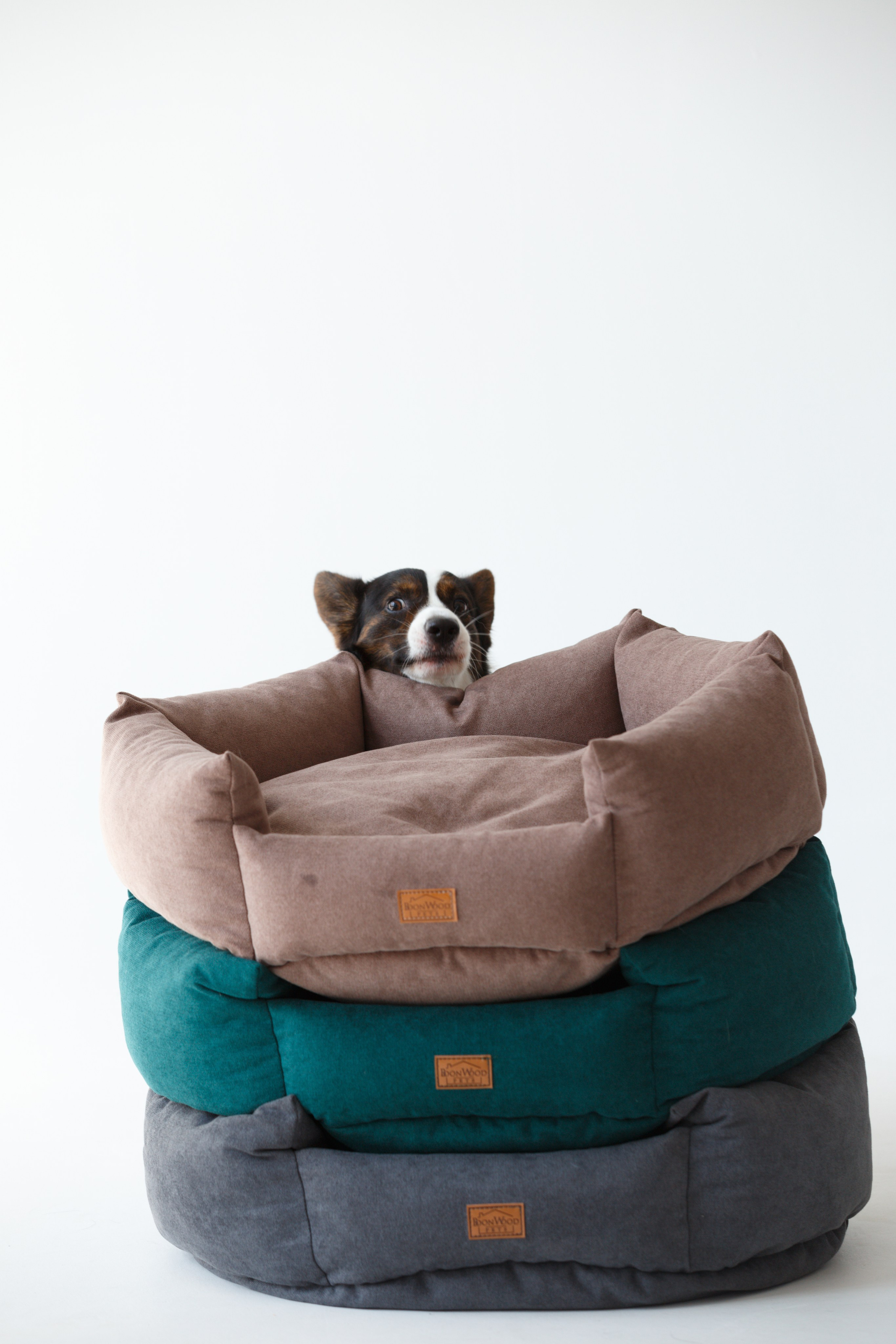 Boonwood Pets лежанки для животных. Фотограф анималист Кристина Карпова, Москва